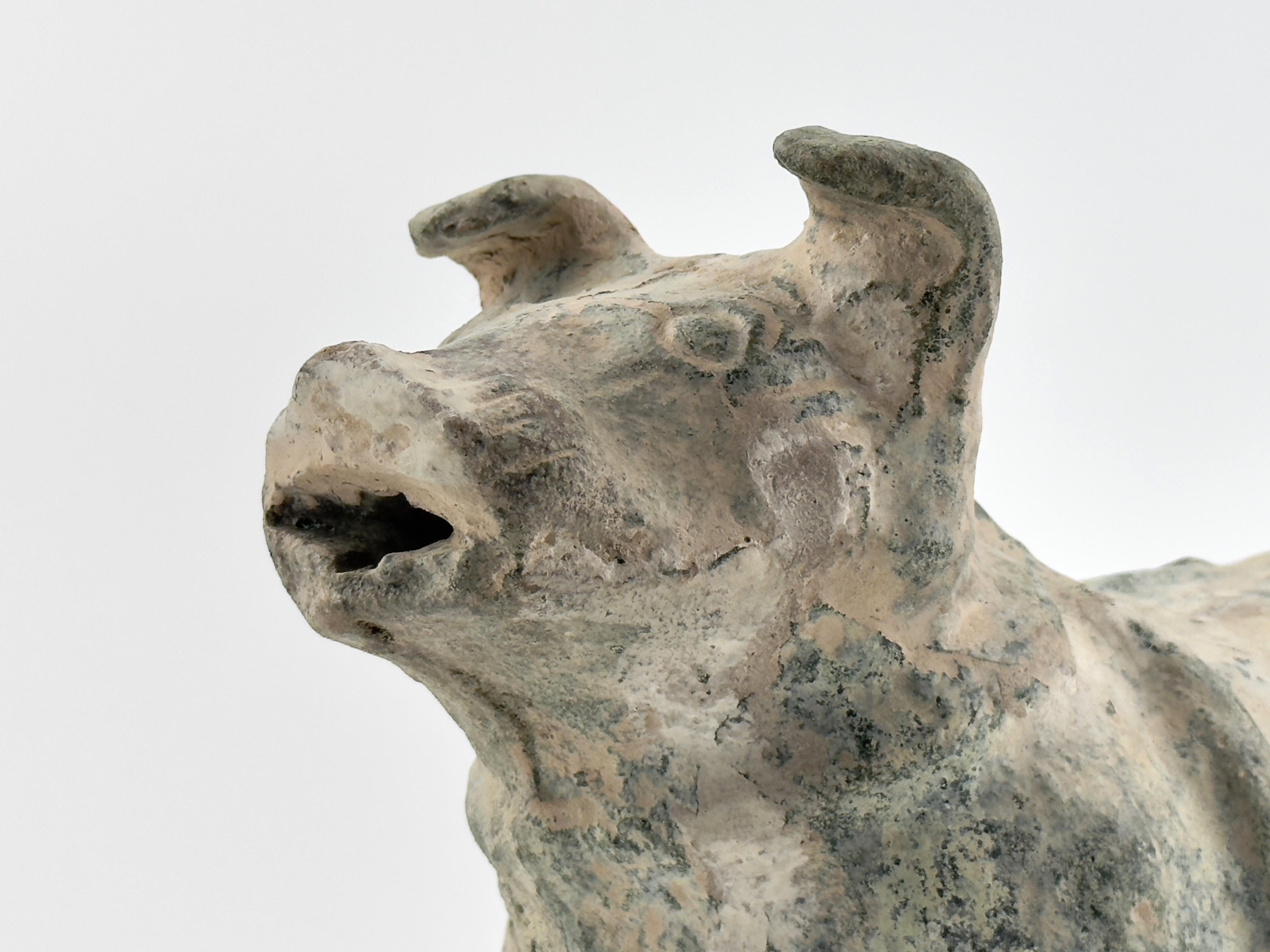 Green Glazed Red Pottery Figure of Dog, Han dynasty (206 BC-220 AD) For Sale 3
