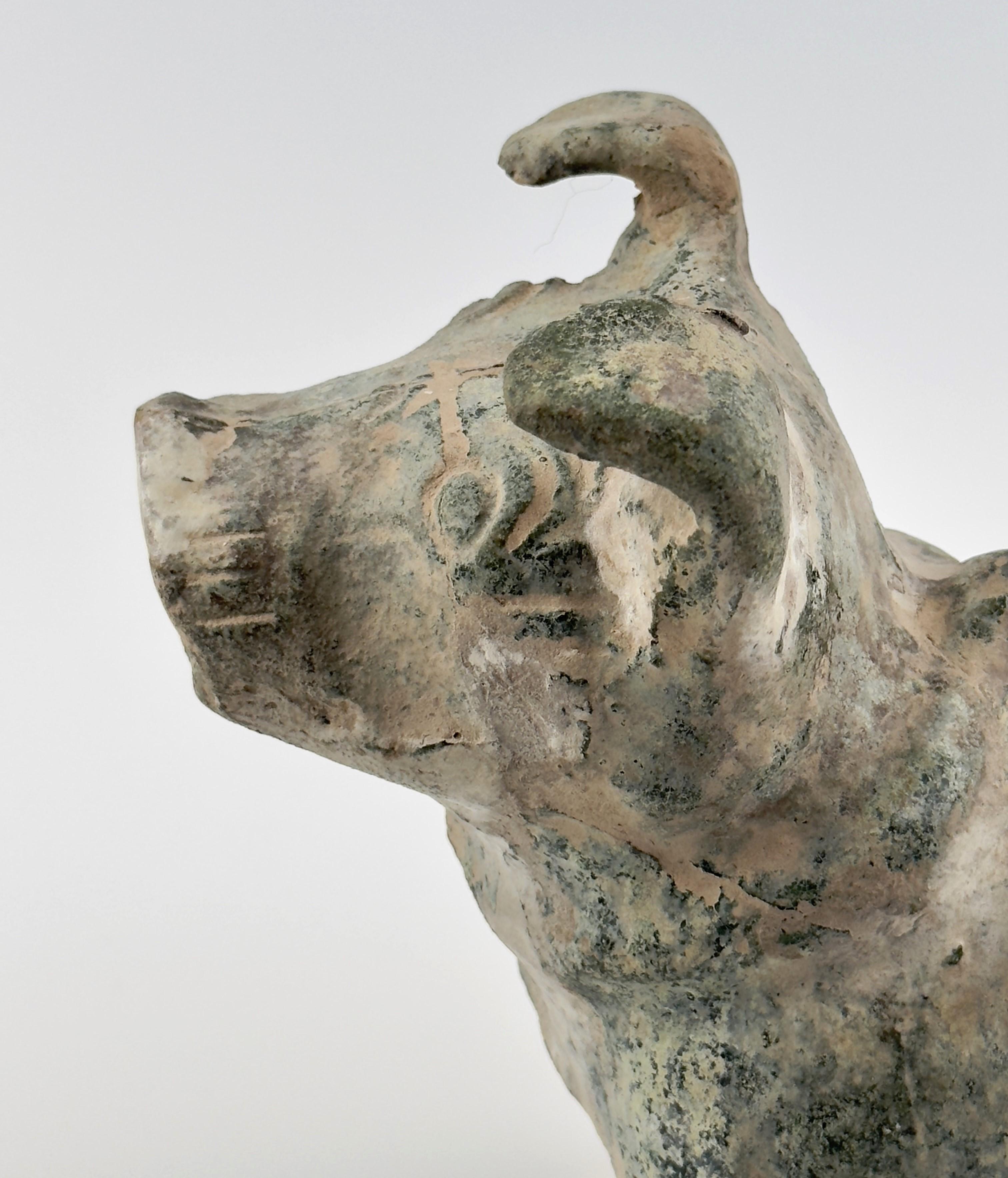 Green Glazed Red Pottery Figure of Dog, Han dynasty (206 BC-220 AD) For Sale 4