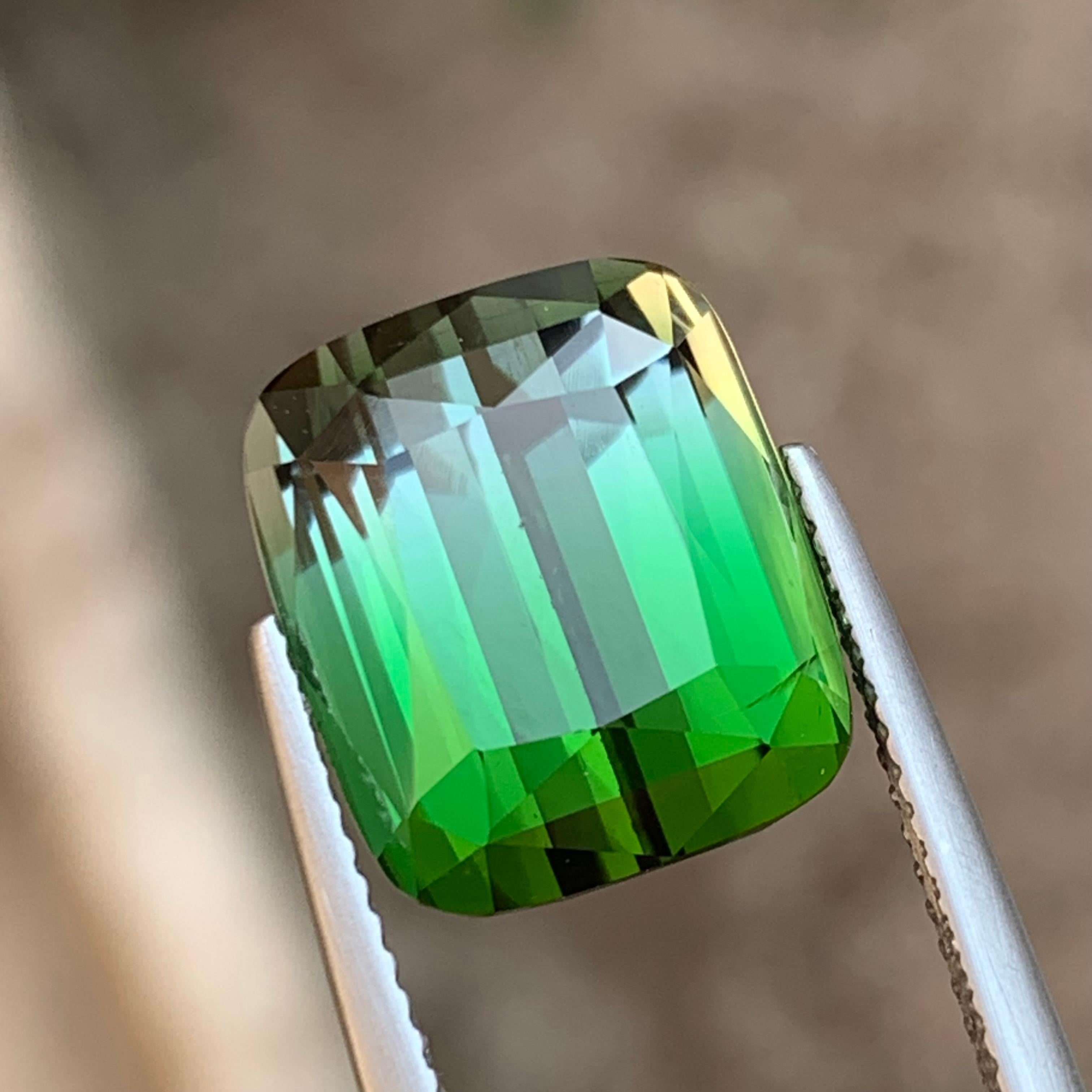 Bague en tourmaline naturelle bicolore de deux tons vert et gris 11,60 carats en vente 4