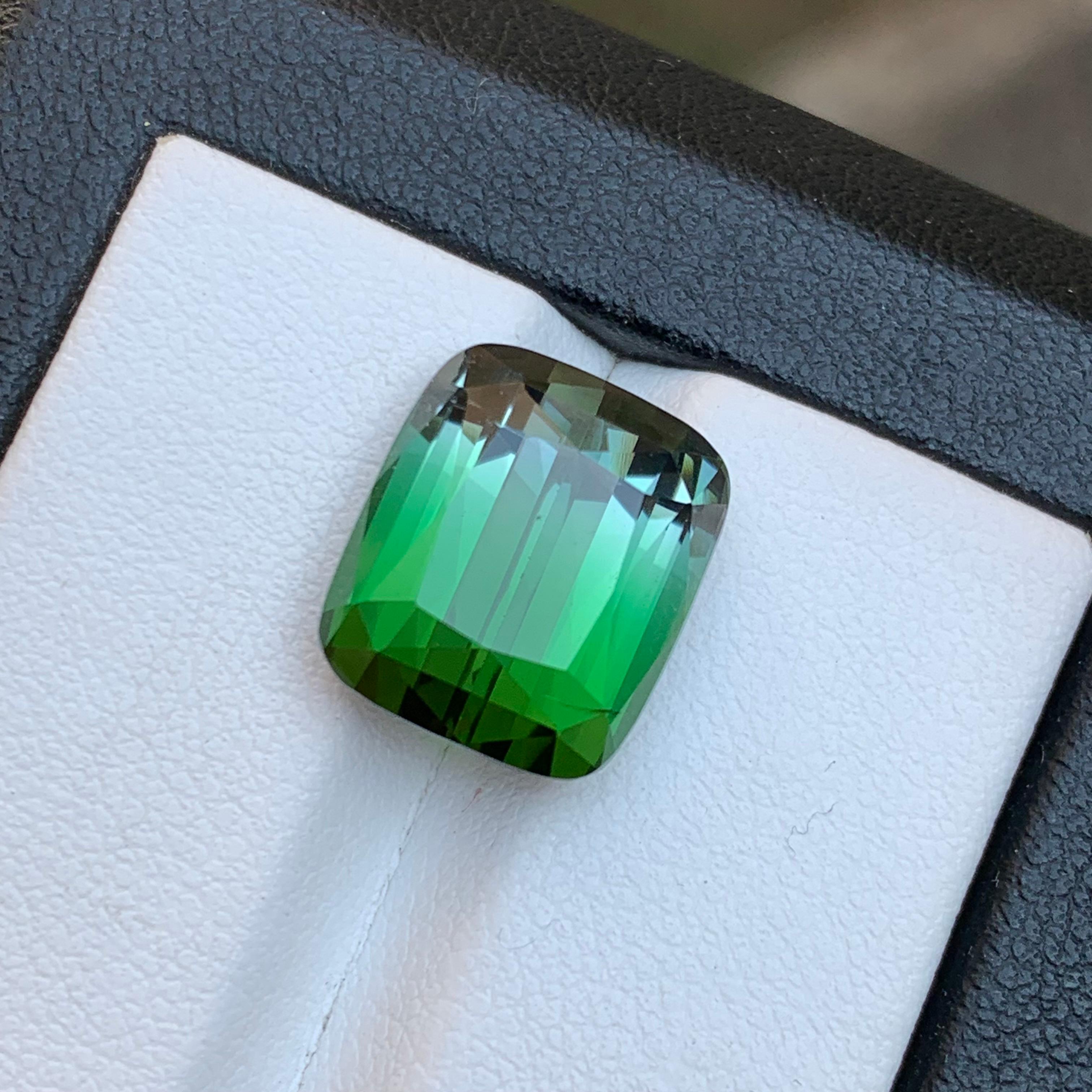 Bague en tourmaline naturelle bicolore de deux tons vert et gris 11,60 carats en vente 5