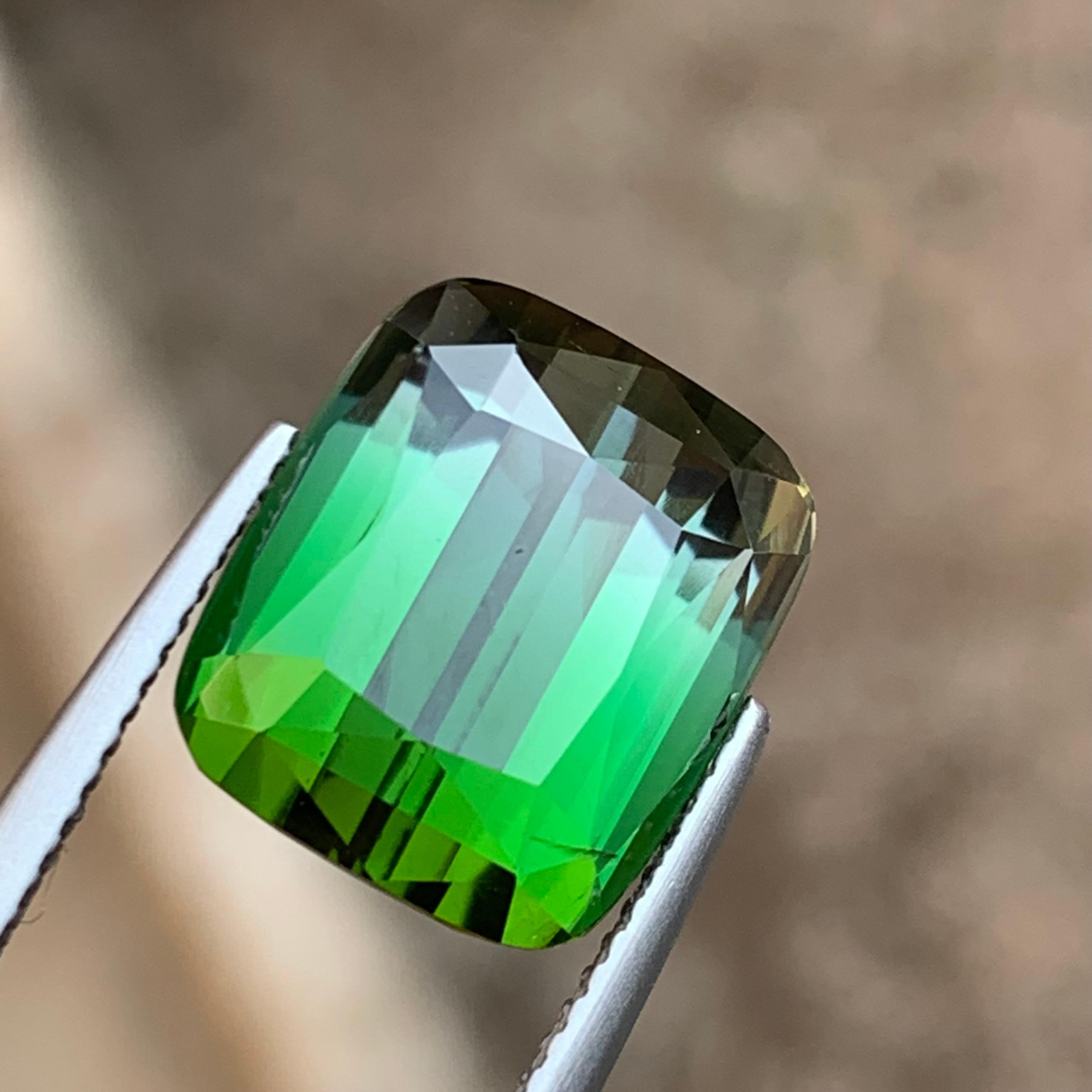 Bague en tourmaline naturelle bicolore de deux tons vert et gris 11,60 carats en vente 6