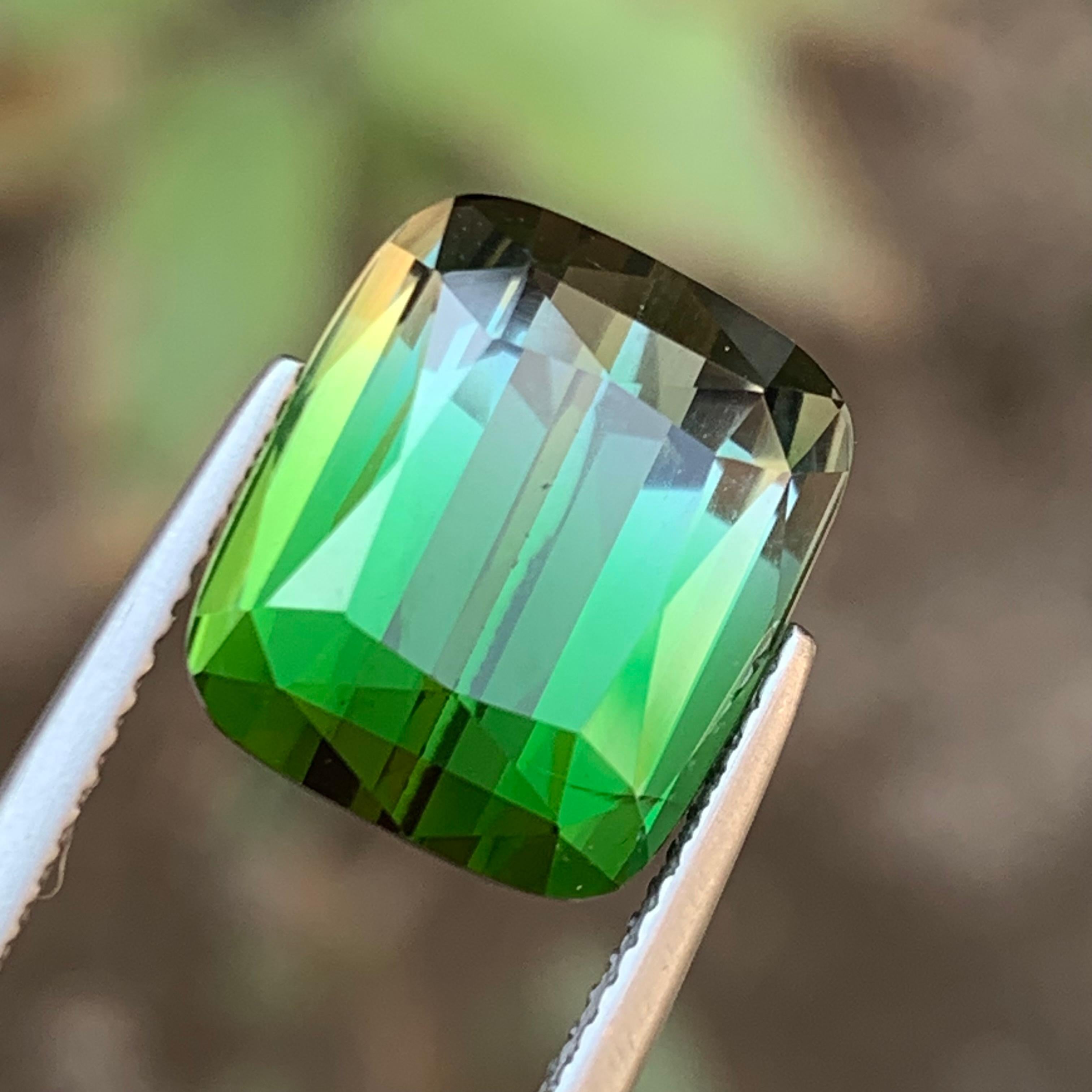 Tourmaline Naturelle Bicolore Vert et Gris pour Bague, Collier, Pendentif, Bracelet ou tout autre bijou - Taillée en coussin de Kunar Afghanistan !!!

💎 TYPE DE PIERRE PRÉCIEUSE : Tourmaline
⚖️ POIDS : 11,60 carats
🪚 SHAPE & CUT : Coupe coussin
📏