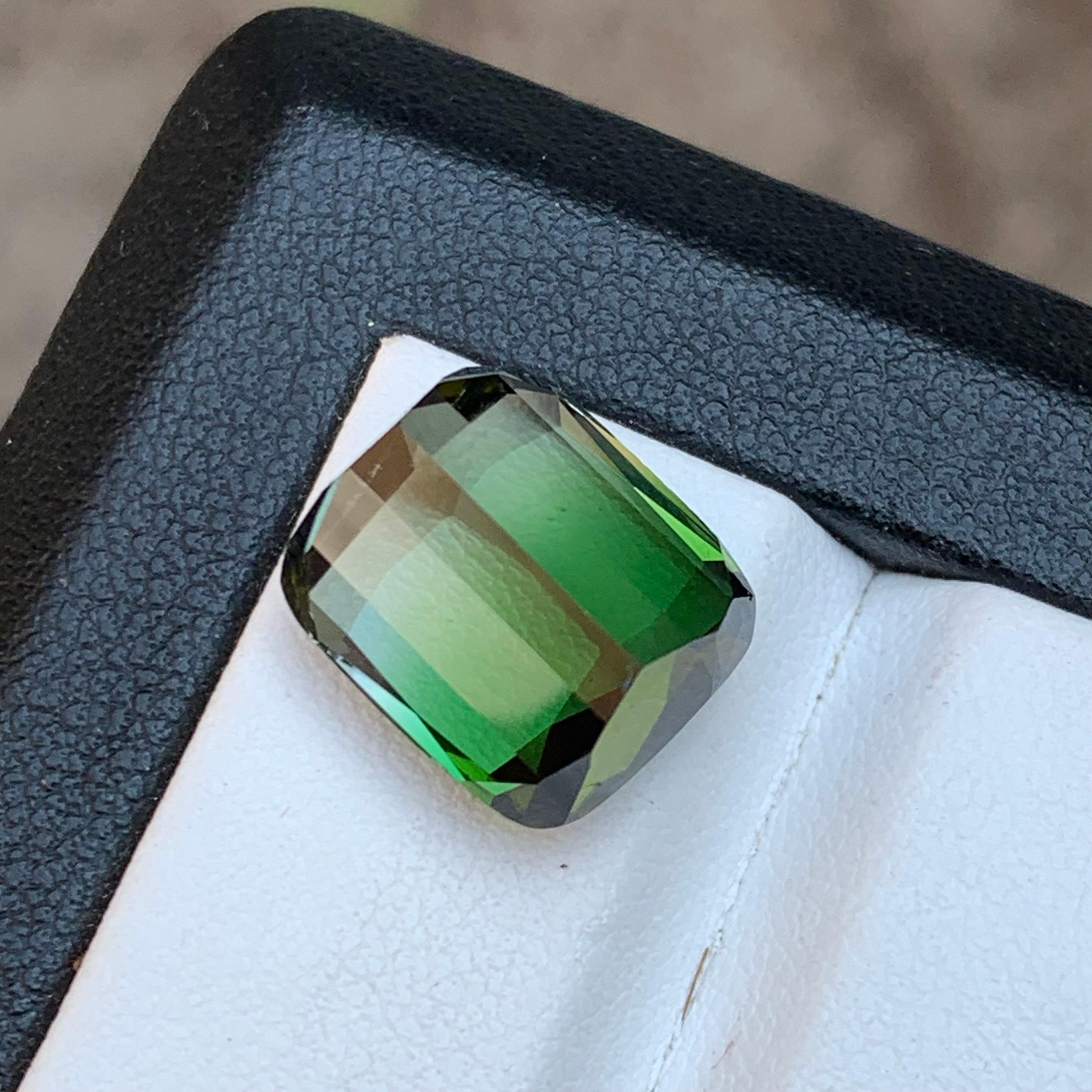 Bague en tourmaline naturelle bicolore de deux tons vert et gris 11,60 carats Neuf - En vente à Peshawar, PK