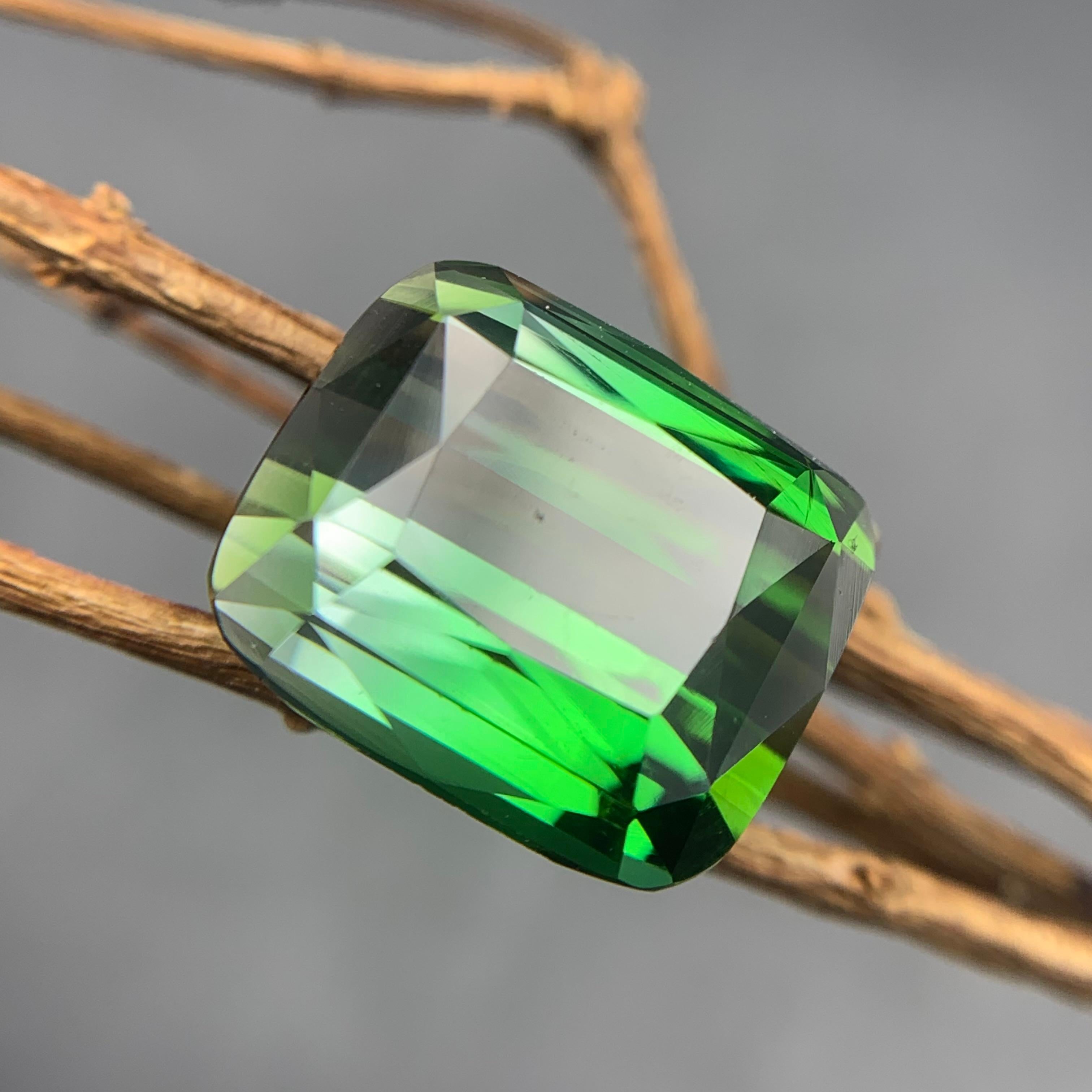 Bague en tourmaline naturelle bicolore de deux tons vert et gris 11,60 carats en vente 2