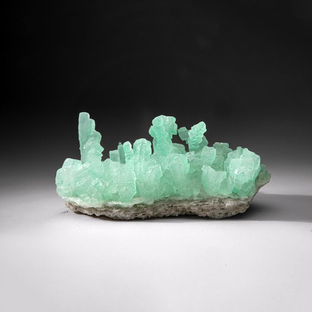 Green Halite from Carlsbad Potash Mining District, Eddy County, New Mexico For Sale 4