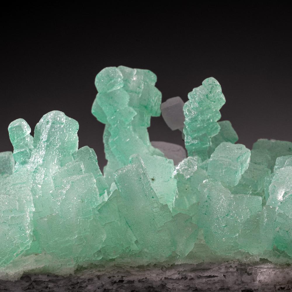 Lustrous rich translucent green cubic halite crystals on matrix.  



Weight: 1.85 lbs, Dimensions: 8 x 3.5 x 3.5 inches