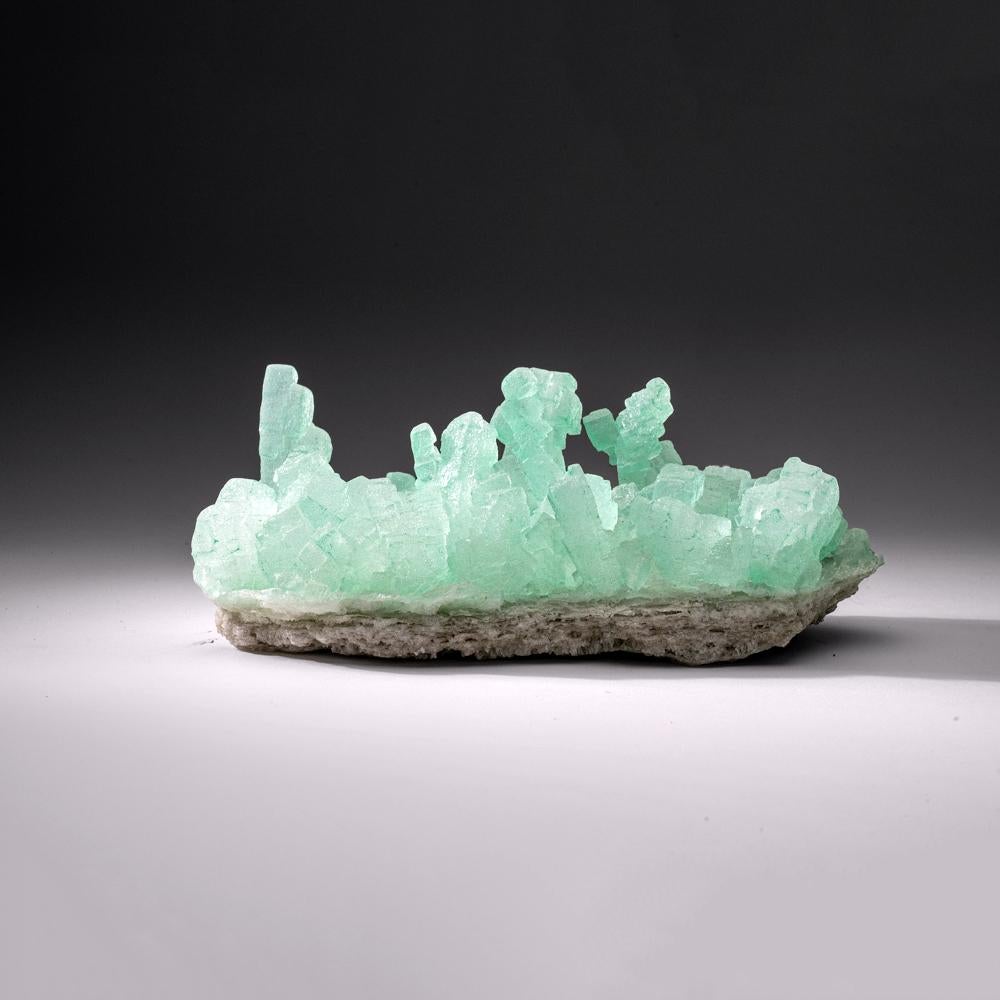 Green Halite from Carlsbad Potash Mining District, Eddy County, New Mexico In New Condition For Sale In New York, NY