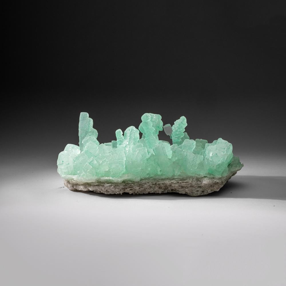Contemporary Green Halite from Carlsbad Potash Mining District, Eddy County, New Mexico For Sale