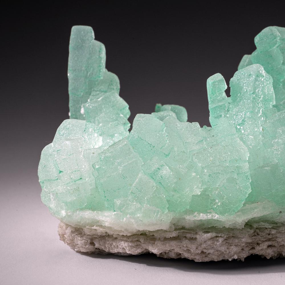 Green Halite from Carlsbad Potash Mining District, Eddy County, New Mexico For Sale 1