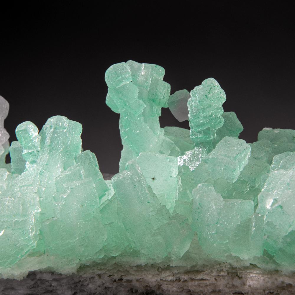 Green Halite from Carlsbad Potash Mining District, Eddy County, New Mexico For Sale 2