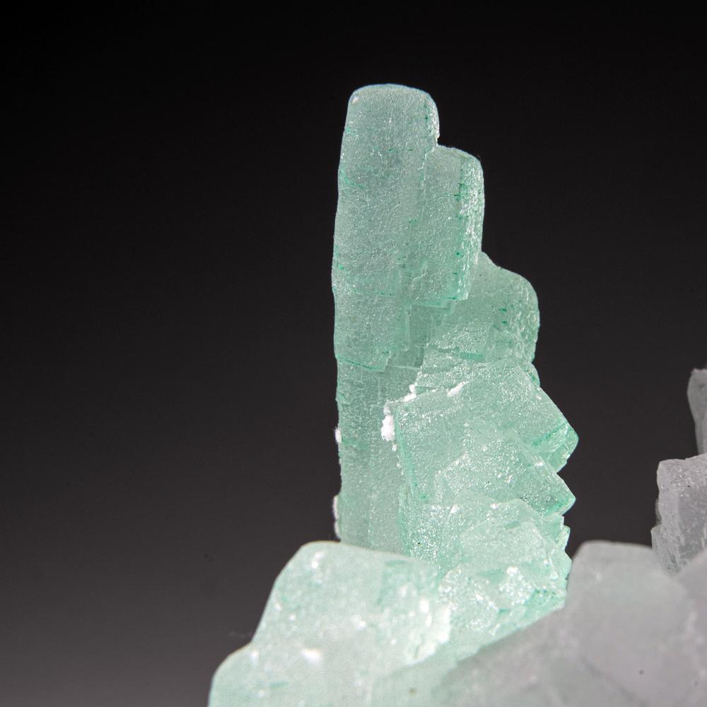 Green Halite from Carlsbad Potash Mining District, Eddy County, New Mexico For Sale 3