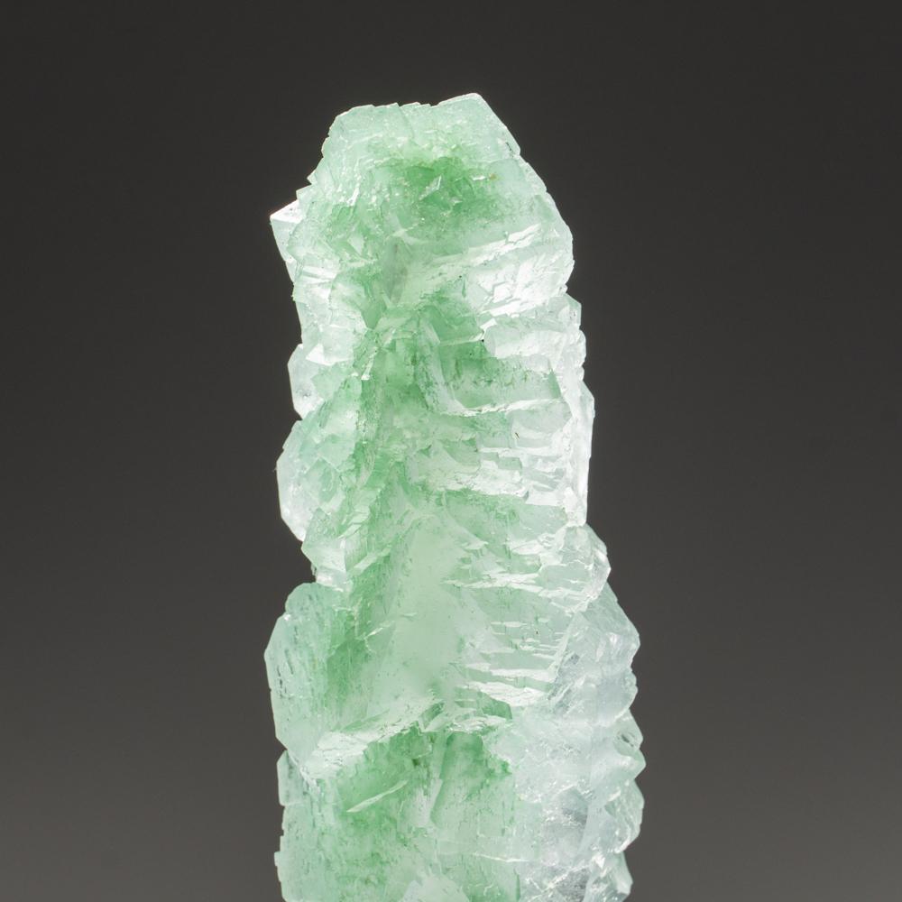 Green Halite with Gypsum from Mount Gunson Area, South Australia, Australia In New Condition For Sale In New York, NY