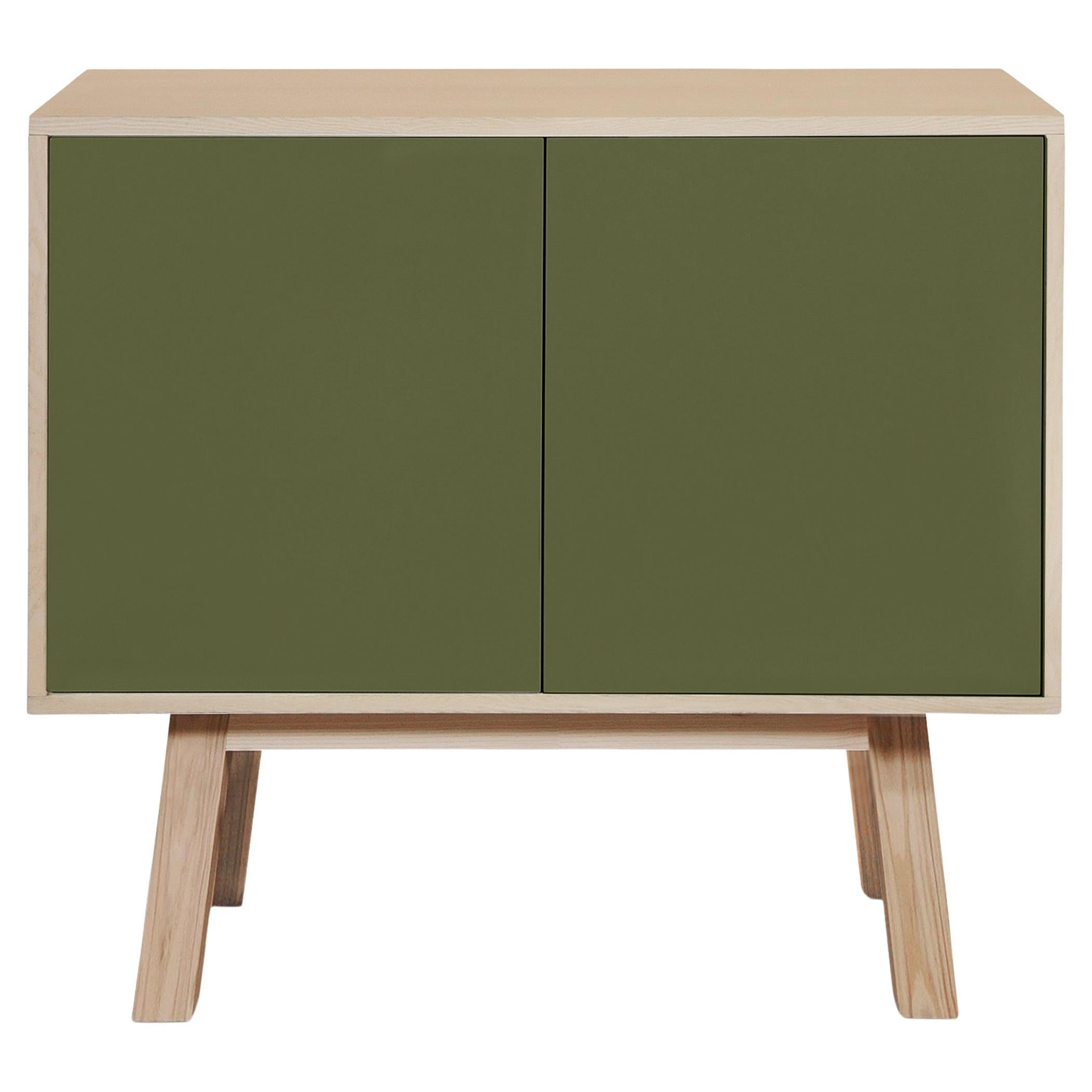 Armario de madera verde de 2 puertas hecho a mano por E. Gizard, París
