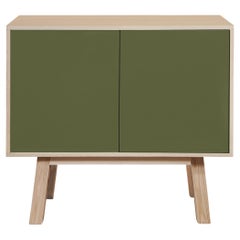 Armario de madera verde de 2 puertas hecho a mano por E. Gizard, París