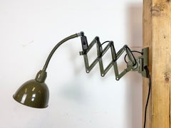 Lámpara de pared de cuello de cisne militar industrial verde de Elektroinstala, años 60