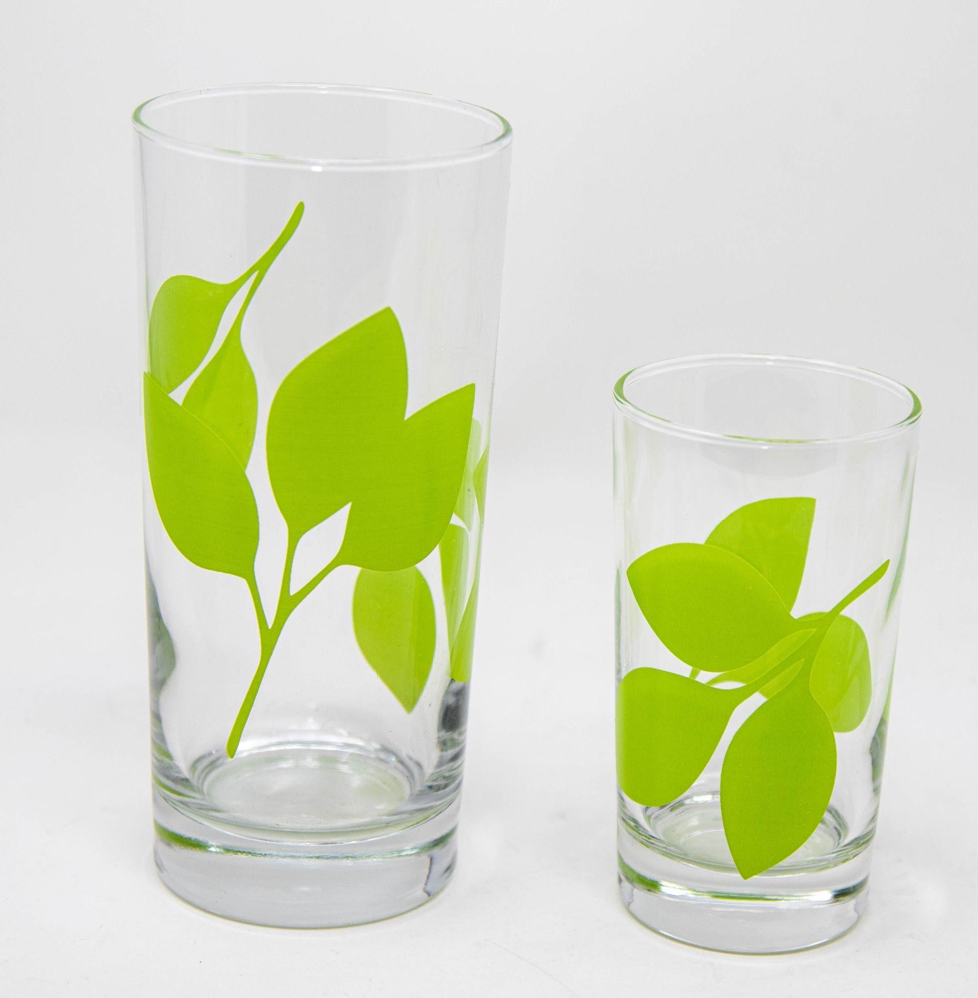 20th Century Green Leaf Organic Pattern Drinking Glasses Barware Tumblers Set of 26 For Sale