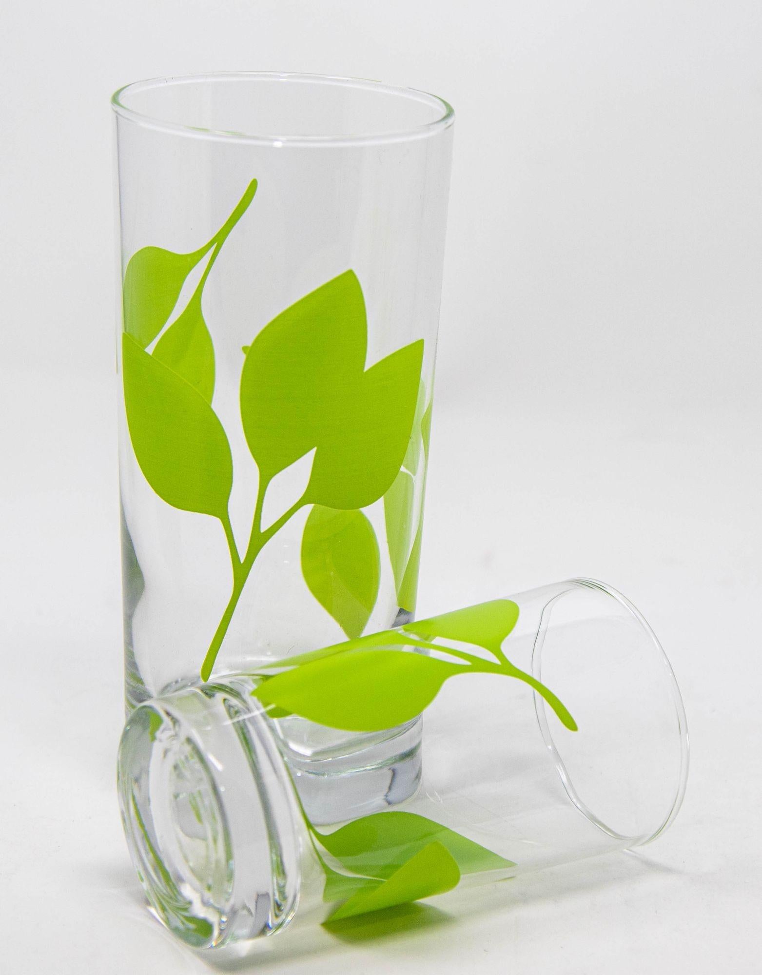 Green Leaf Organic Pattern Drinking Glasses Barware Tumblers Set of 26 For Sale 1