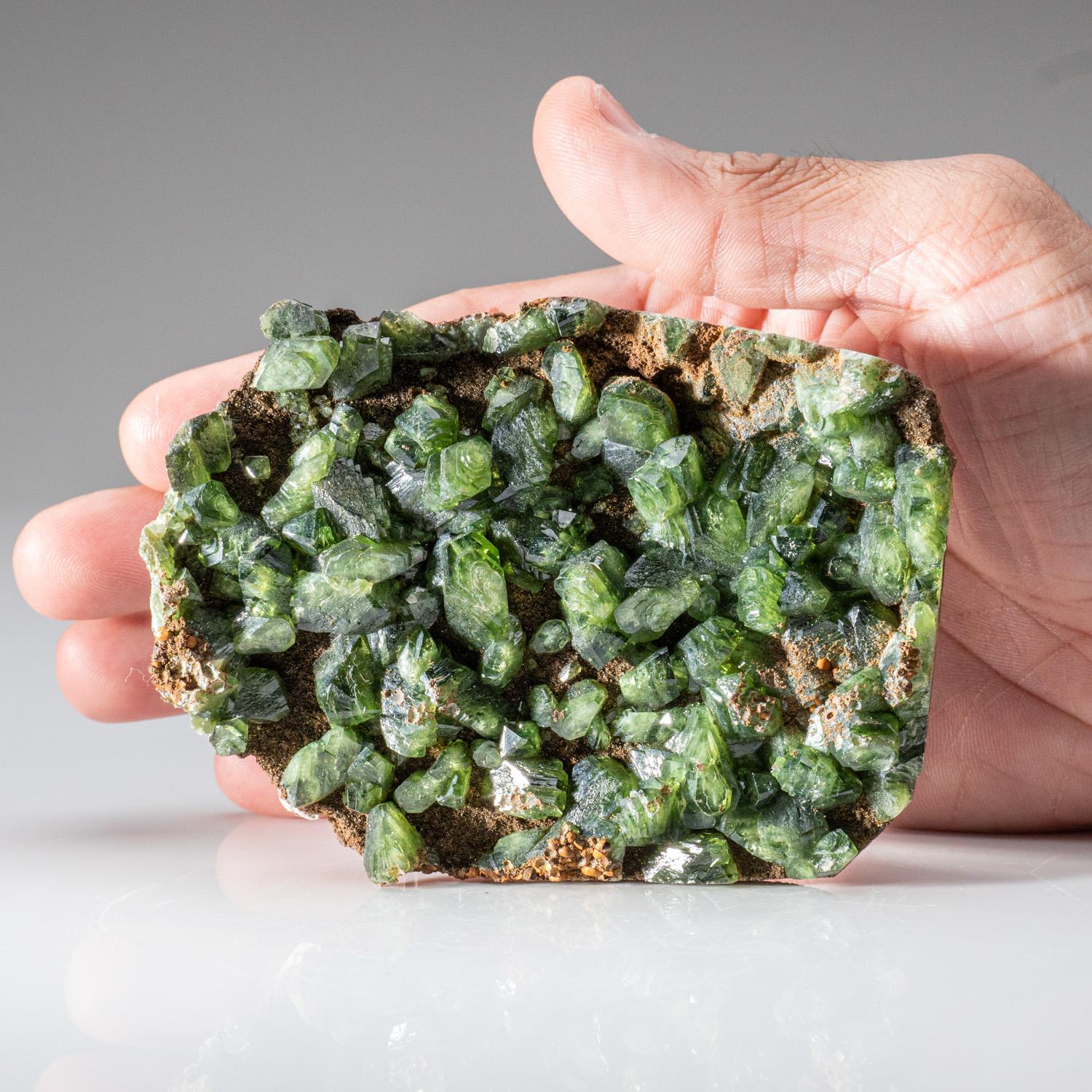 Superb lustrous transparent green ludlamite crystals on a thin plate of brown matrix with a few translucent brown siderite crystals in spherical aggregates. The deep green color and high transparency make this an excellent specimen.

Weight:
