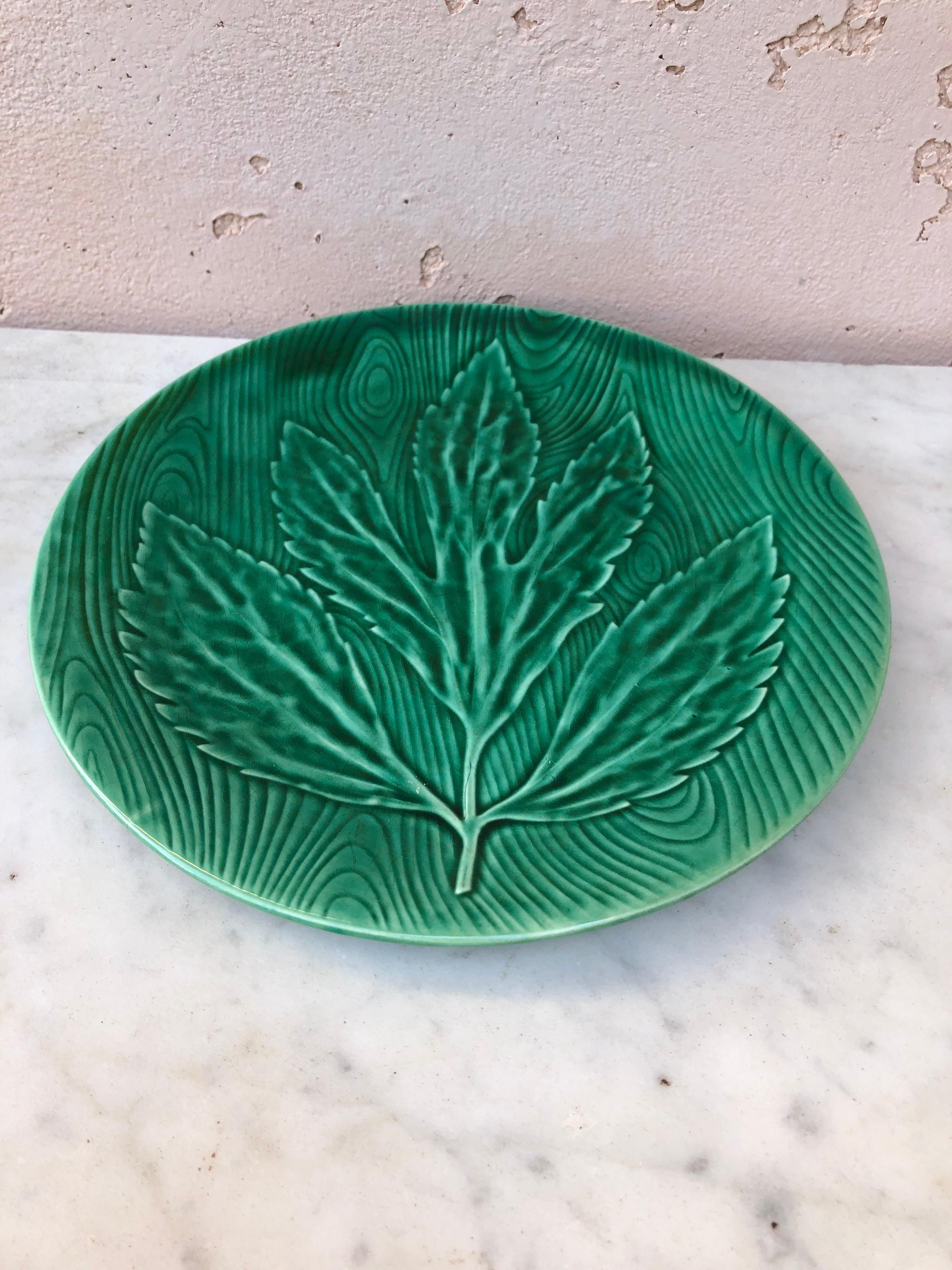 vintage leaf plates