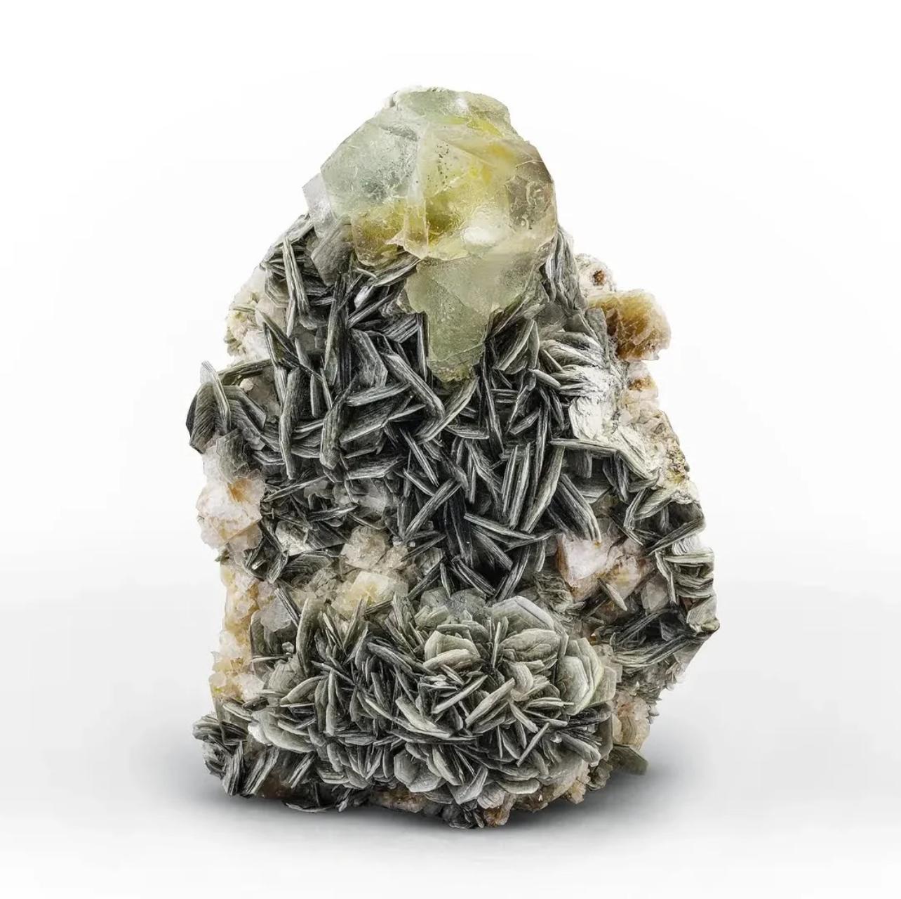 Informations sur le produit :

Nom du spécimen : Cristal de fluorine sur muscovite 

Poids : 1407 grammes

Dimensions : H : 15 x L : 11 x P : 8 cm : H : 15 x L : 11 x P : 8 cm

Traitement : Aucun

Origine : Mine Chumar Bakhur, Vallée de Nagar,