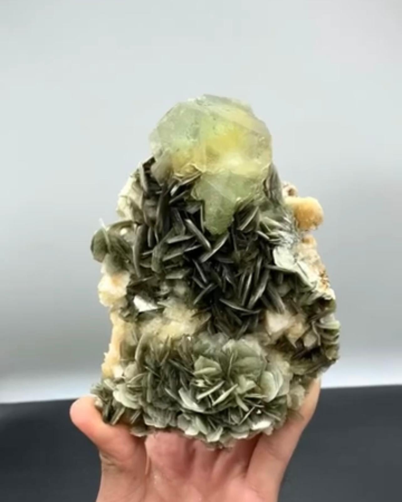 Style Adam Cristal fluorite octogonal vert perché sur une moscovite du Pakistan en vente