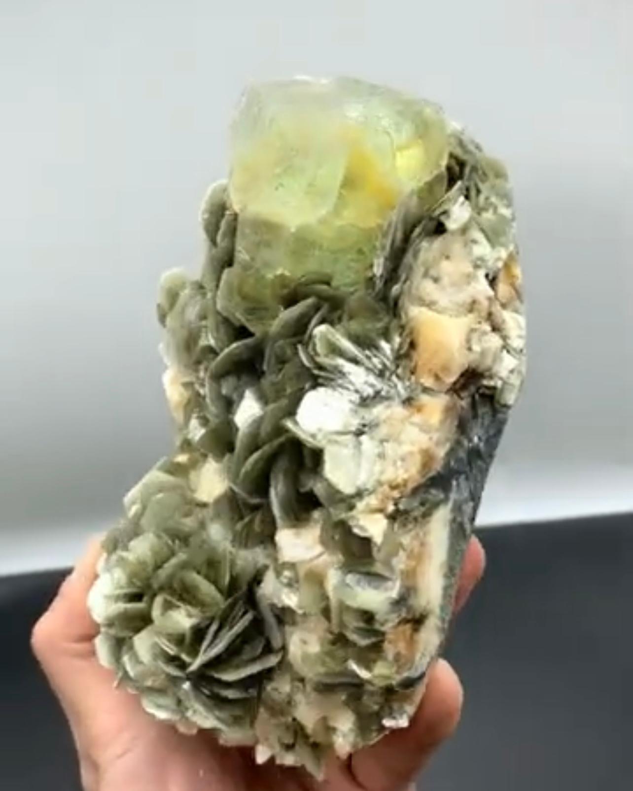 Pakistanais Cristal fluorite octogonal vert perché sur une moscovite du Pakistan en vente