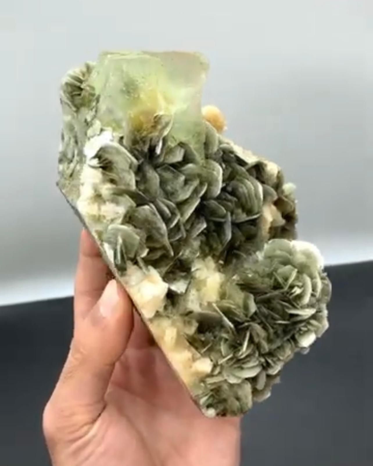 Cristal fluorite octogonal vert perché sur une moscovite du Pakistan Bon état - En vente à Peshawar, PK