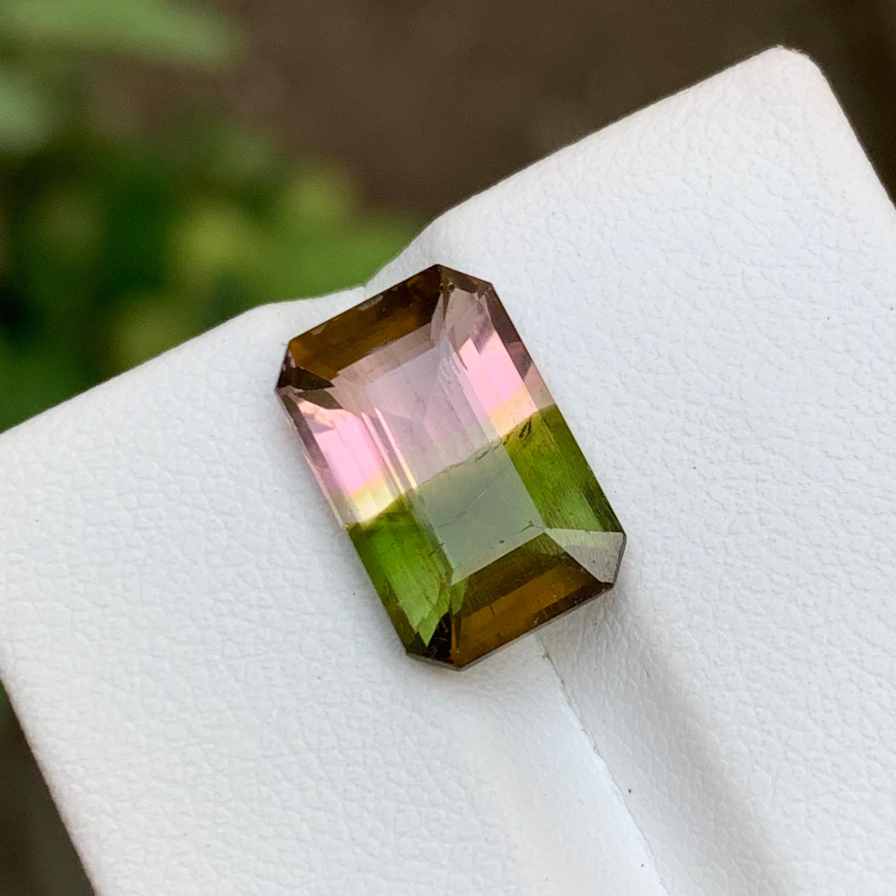 5.10 Carat Watermelon Bicolor Natural Tourmaline Gemstone - Taille émeraude

💎 TYPE DE PIERRE PRÉCIEUSE : Tourmaline
⚖️ POIDS : 5.10 Carats
🪚 SHAPE & CUT : Taille émeraude
📏 TAILLE (MM) : 13,22 x 8,67 x 5,35
🌈 COLOR : Watermelon Bicolor
🔎