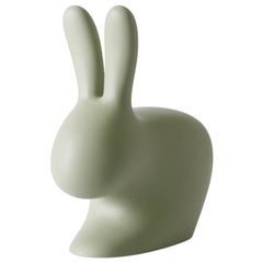 In Stock in Los Angeles, Balsam Green Rabbit Chair by Stefano Giovannoni