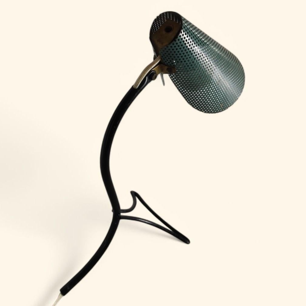 French Green Rigitule 