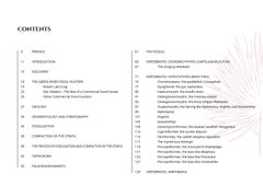 Green River Formation - A Journey in the Fossil Lakes, Stefano Piccini