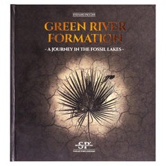 Green River Formation - A Journey in the Fossil Lakes, Stefano Piccini