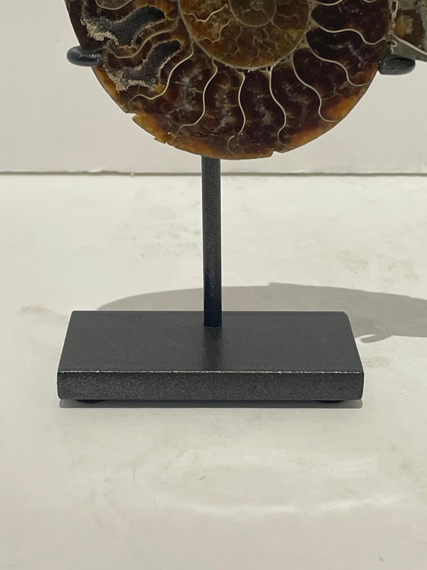 Other Green, Rust, Cream Set Of Two Ammonite Sculptures, Madagascar, Prehistoric For Sale