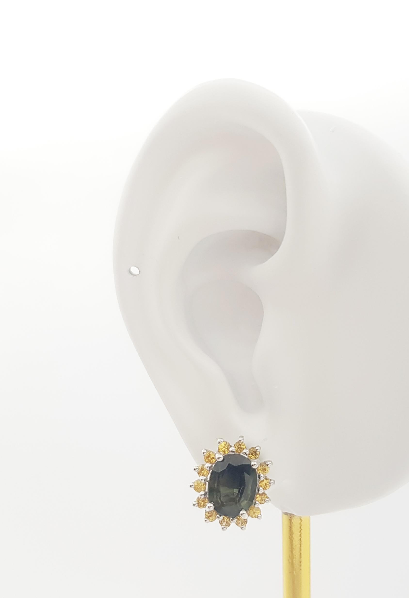 Orecchini con zaffiro verde da 4,23 carati e zaffiro giallo da 0,89 carati con montatura in oro bianco 14K

Larghezza: 1.2 cm 
Lunghezza: 1.3 cm
Peso totale: 6.29 grammi

