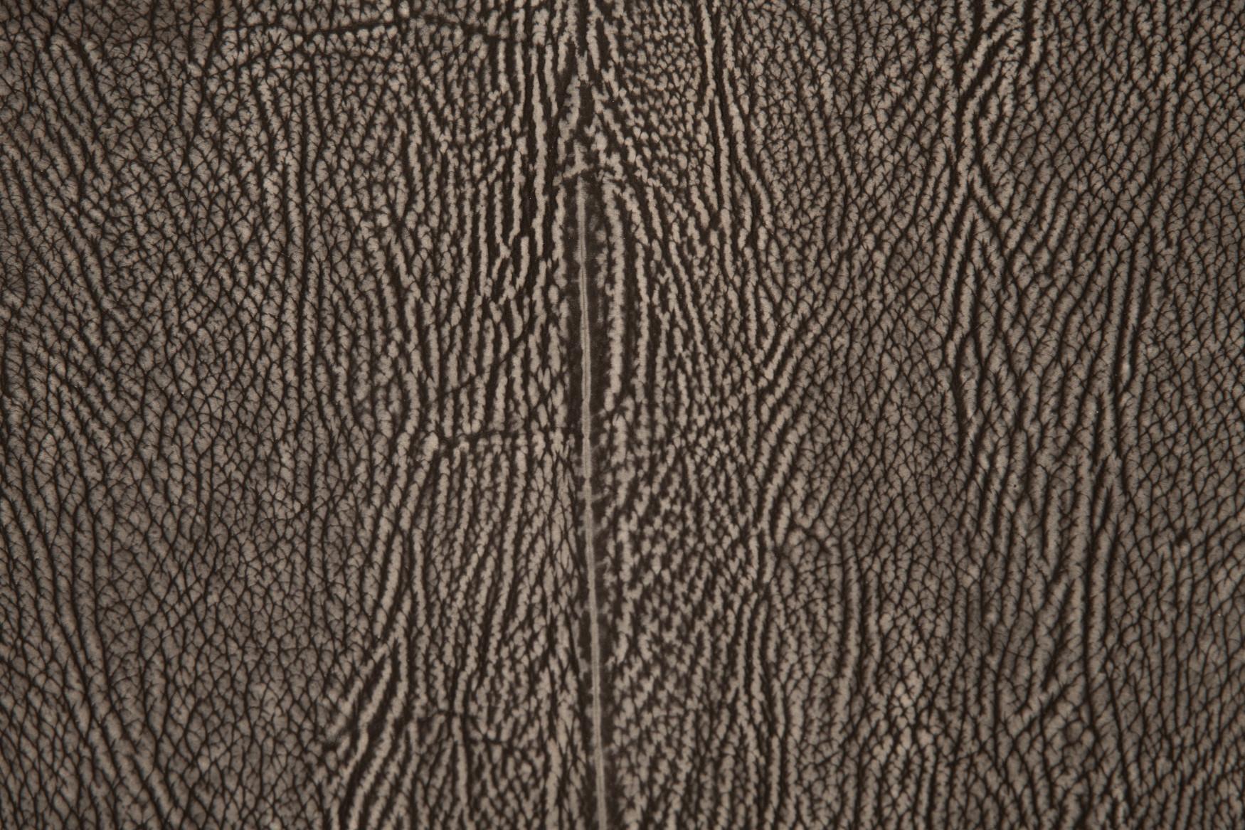 Maniglia di lusso, varie finiture in metallo e pelle Forma classica. Ottone in vendita 4