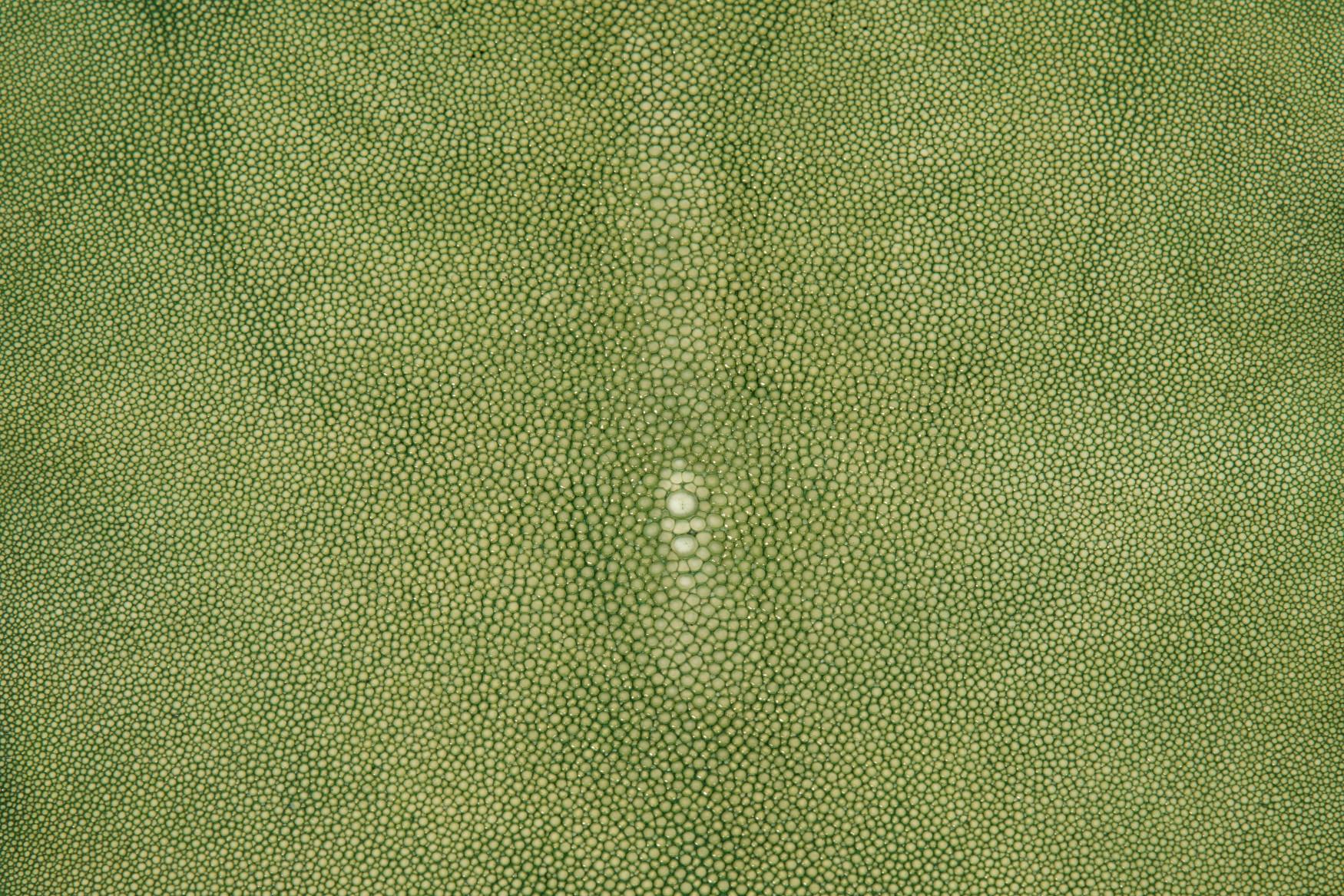 Maniglia di lusso, varie finiture in metallo e pelle Forma classica. Ottone in vendita 9