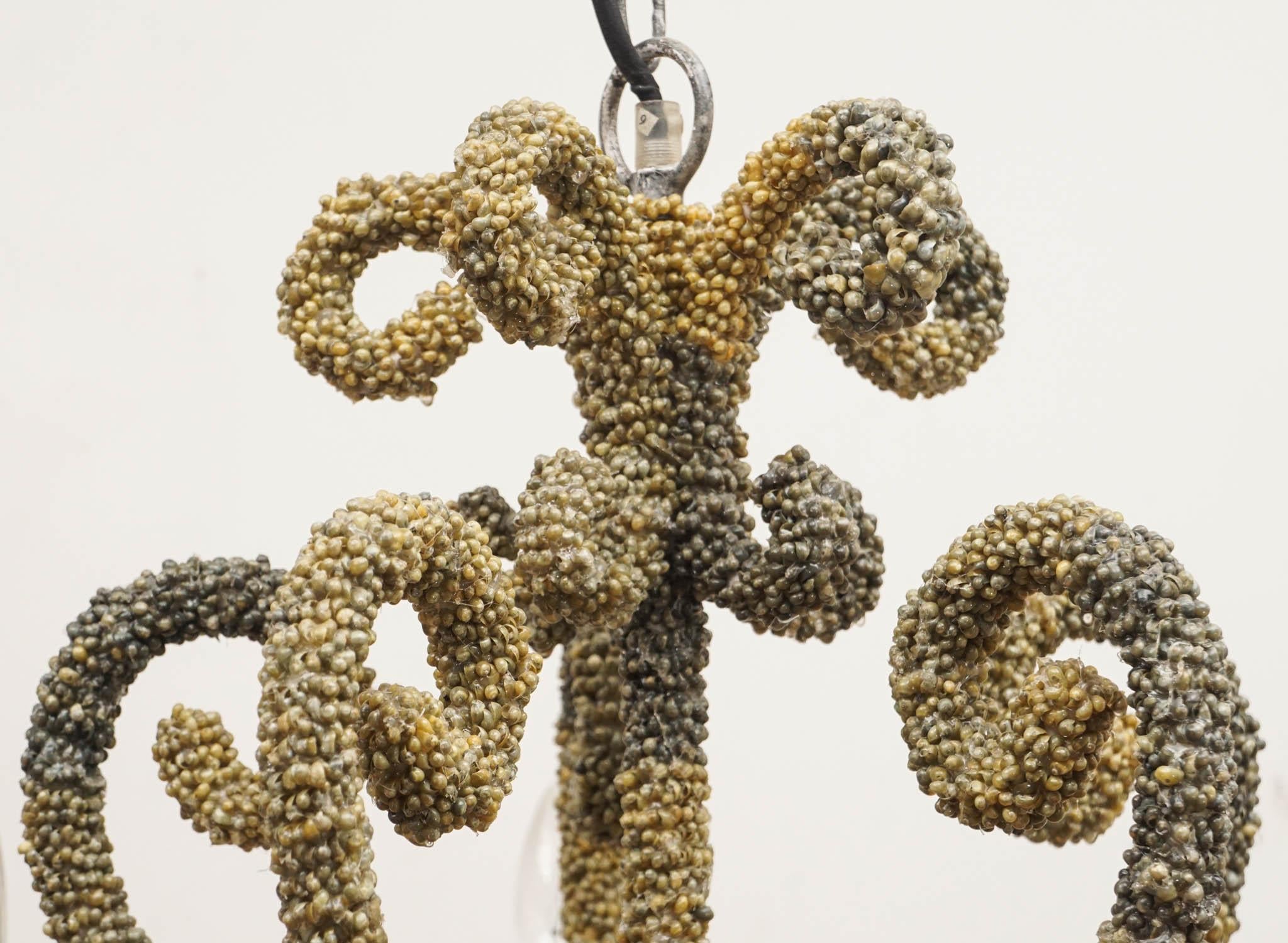 Green Shell Covered Five Arm Chandelier For Sale 3