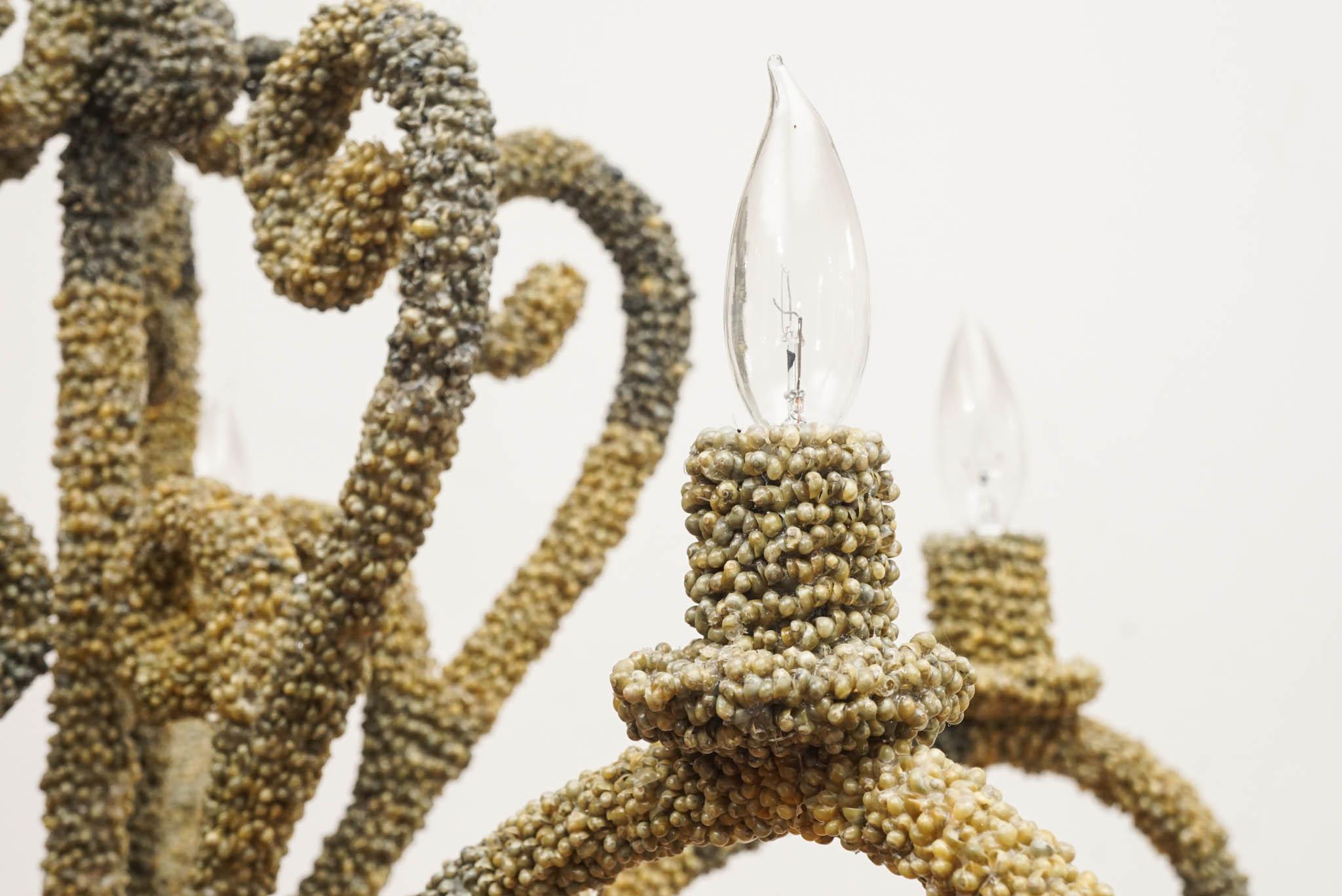 American Green Shell Covered Five Arm Chandelier For Sale