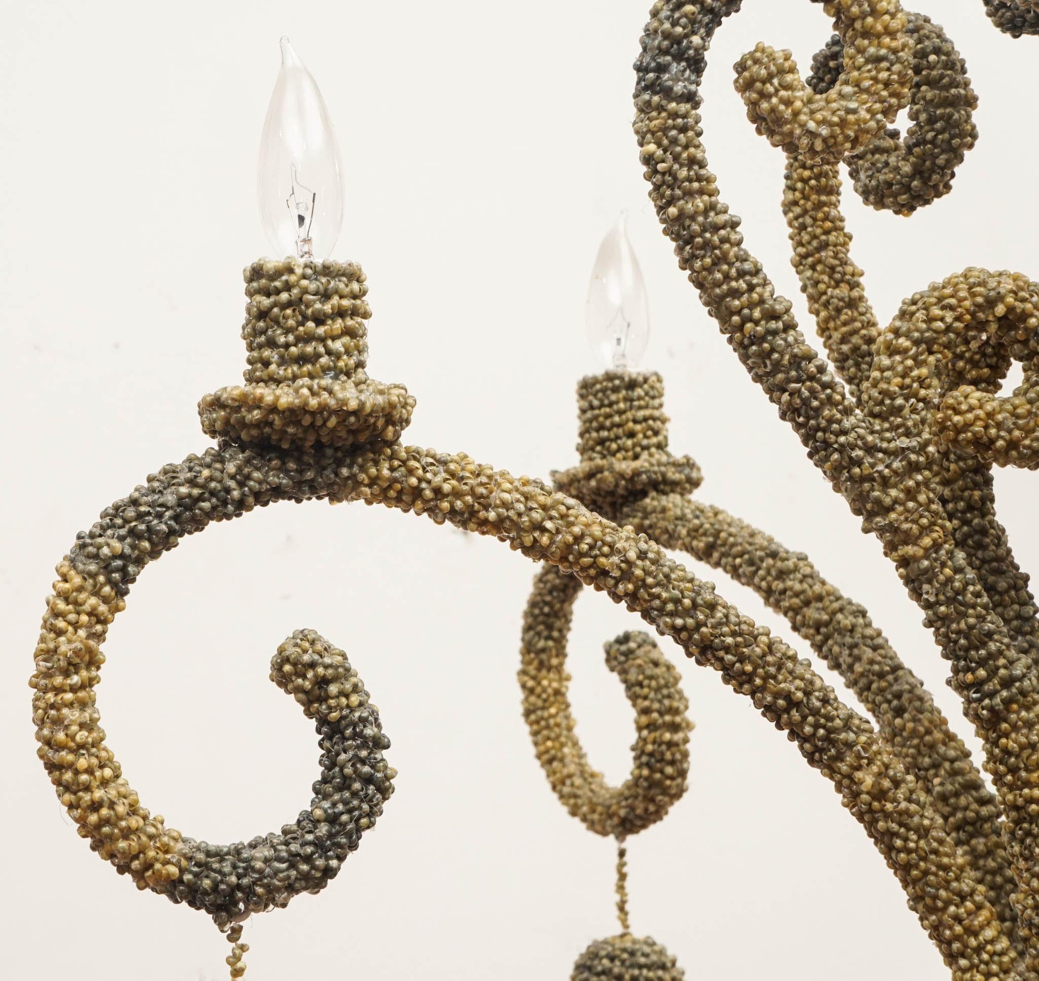 Green Shell Covered Five Arm Chandelier For Sale 1