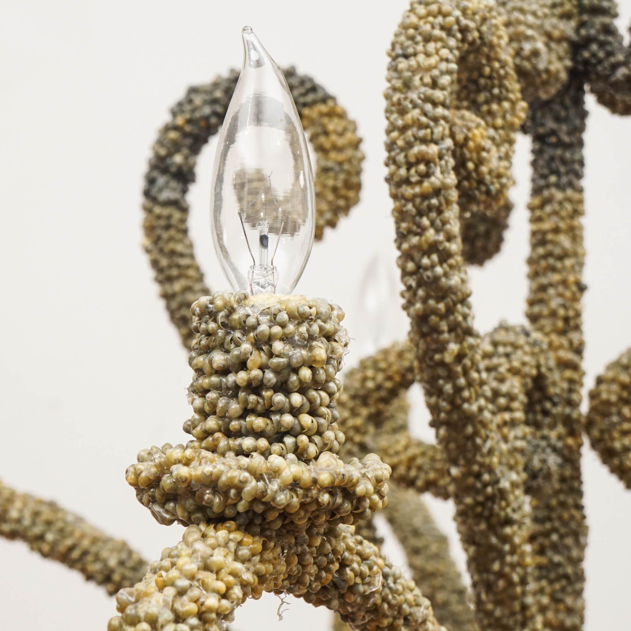 Green Shell Covered Five Arm Chandelier For Sale 2