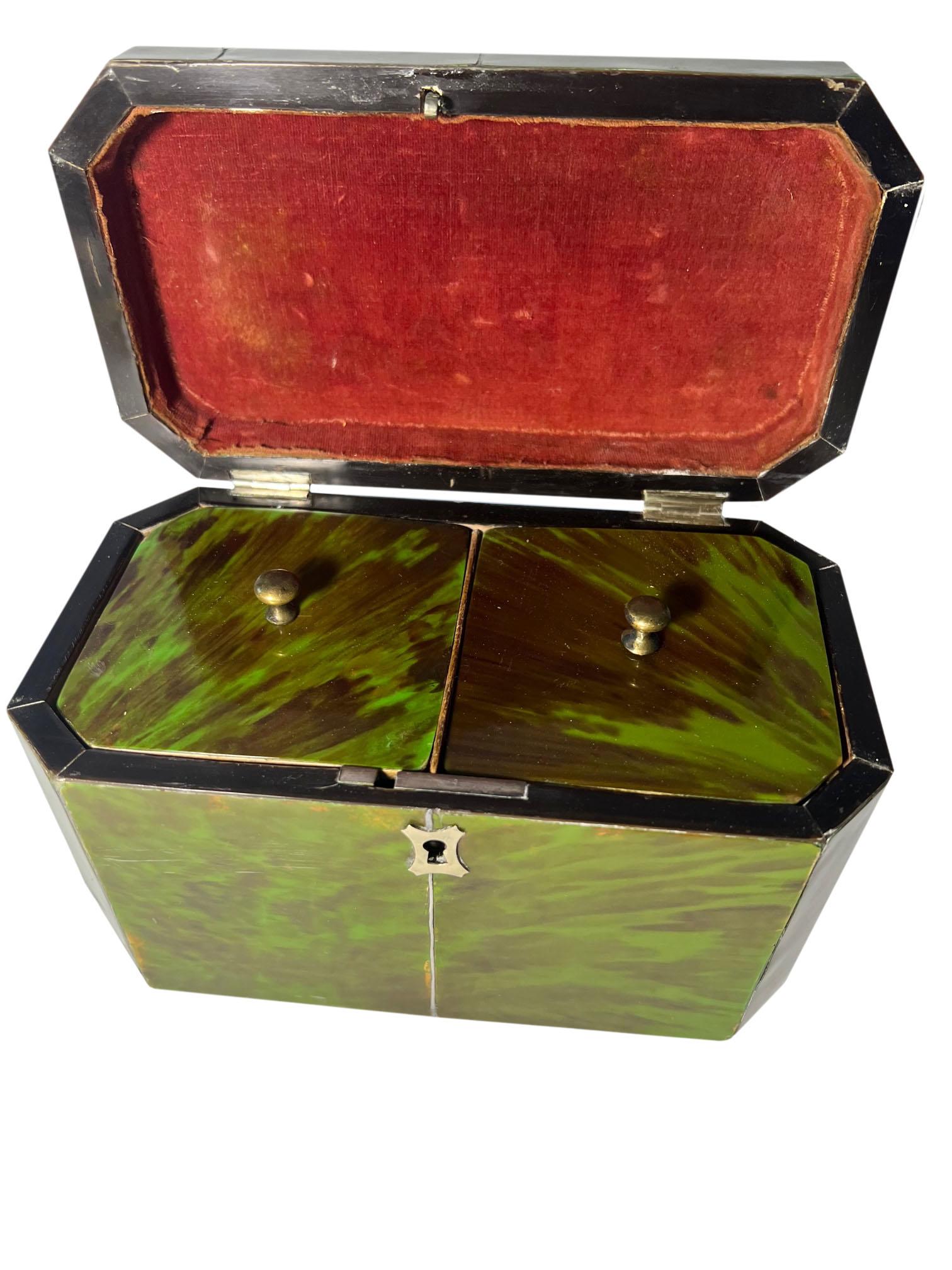 Fin du XIXe siècle Boîte à thé en écaille de tortue verte en vente