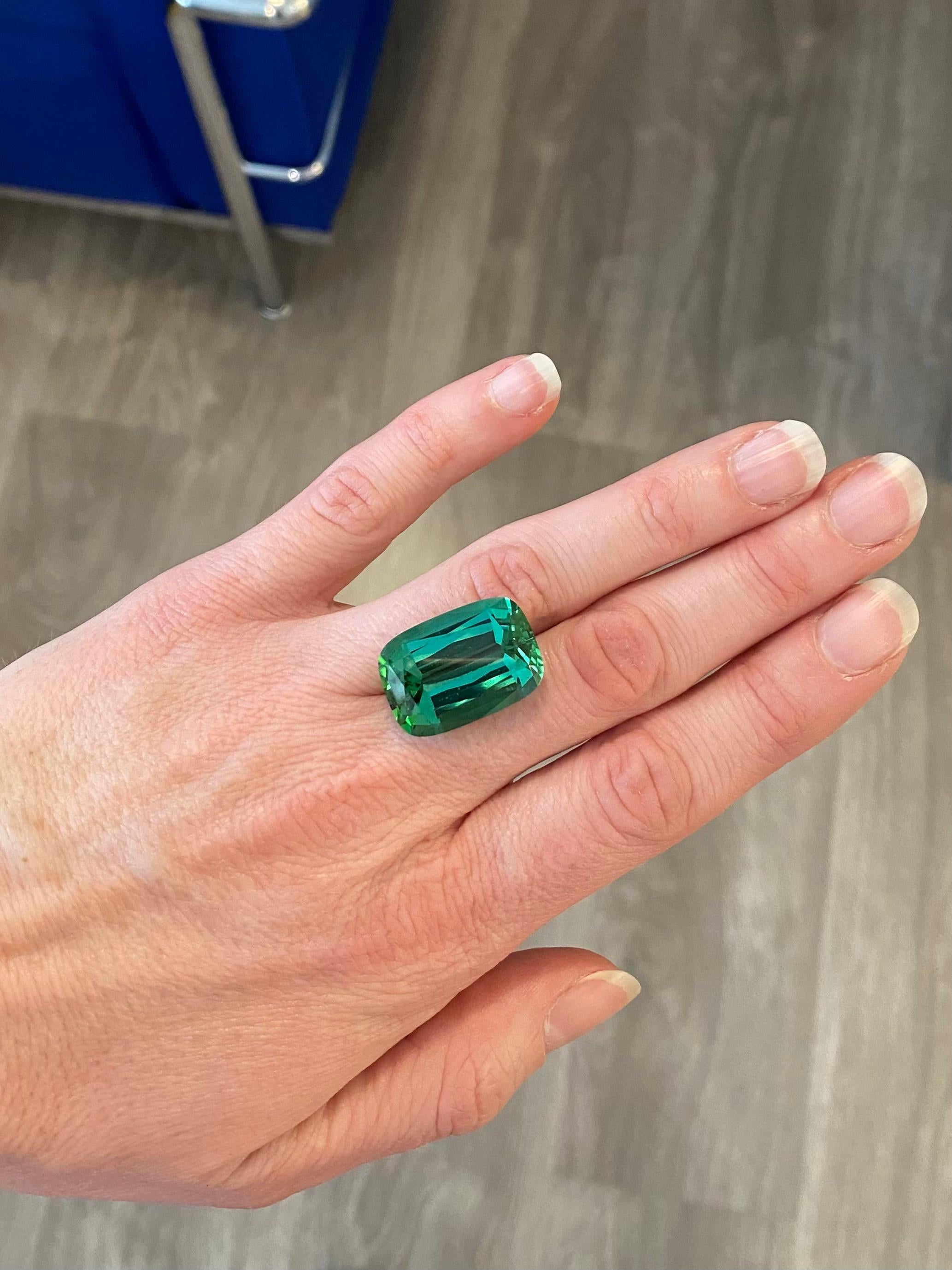 Ein großer Turmalin von 29,85 ct mit einer schönen, intensiv grünen Farbe. Der Schliff ist wunderschön, und die Facetten und die Symmetrie ergänzen die atemberaubende Farbe dieses Steins. Unsere Juweliere in Genf können diesen Stein in ein schönes