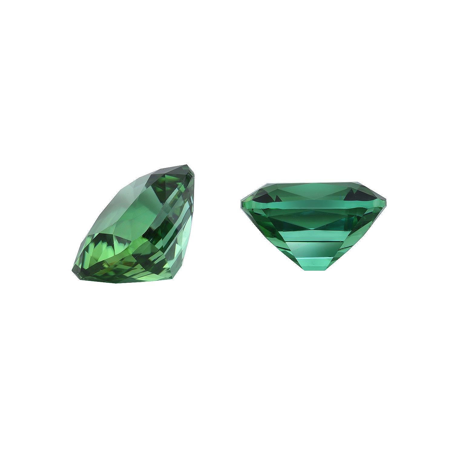 Captivating 6.44 carat Mint Green Tourmaline cushion pair, offered loose and unmounted to a top quality gemstone collector.
Dimensions: Top 9.6 x 8 mm. 
Returns are accepted and paid by us within 7 days of delivery.
We offer supreme custom jewelry