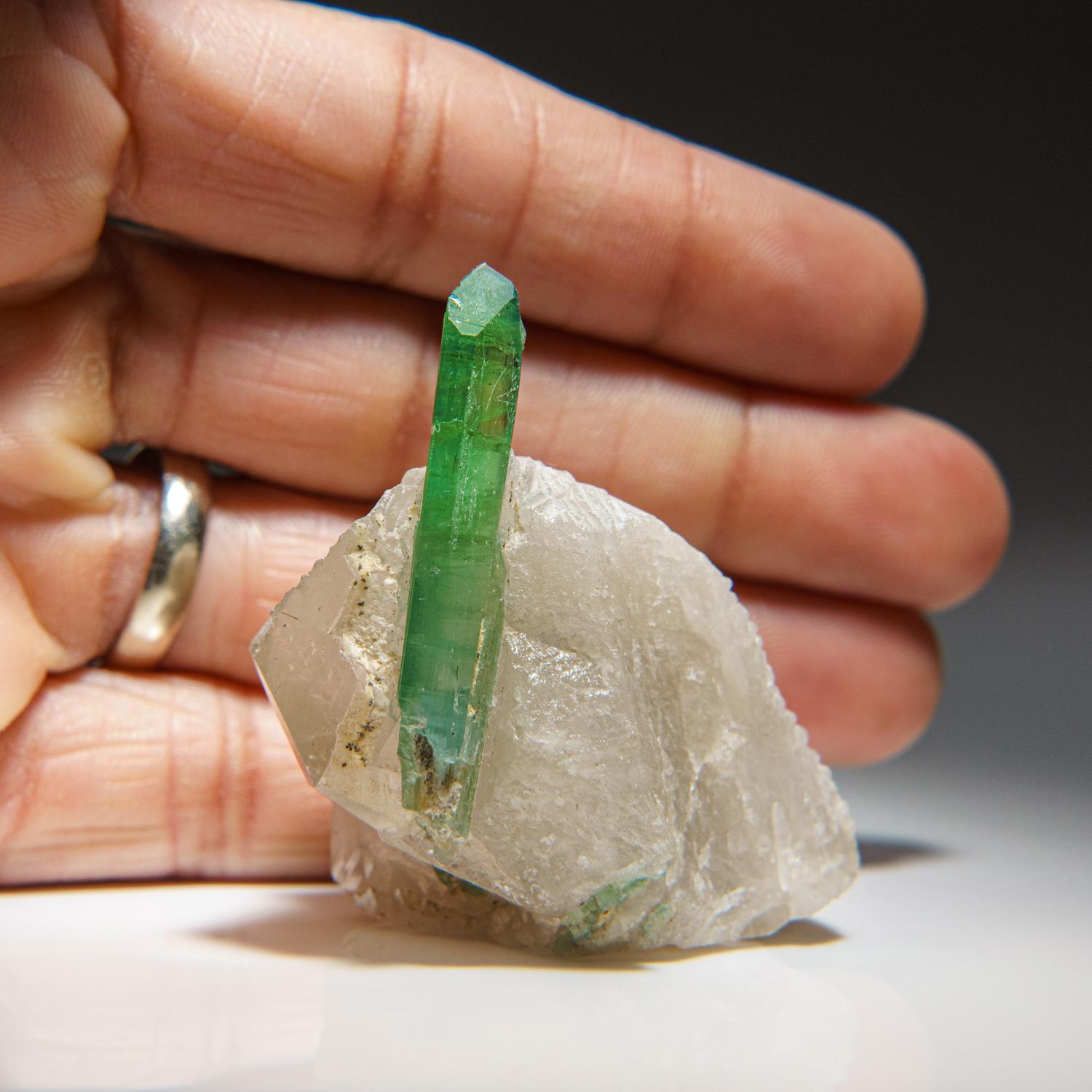From Gilgit District, Gilgit-Baltistan, Pakistan Lustrous transparent green terminated elbaite tourmaline crystal in gray quartz with a few tabular milky quartz crystals. This unique specimen is highly prized for its rarity and beauty, and makes an