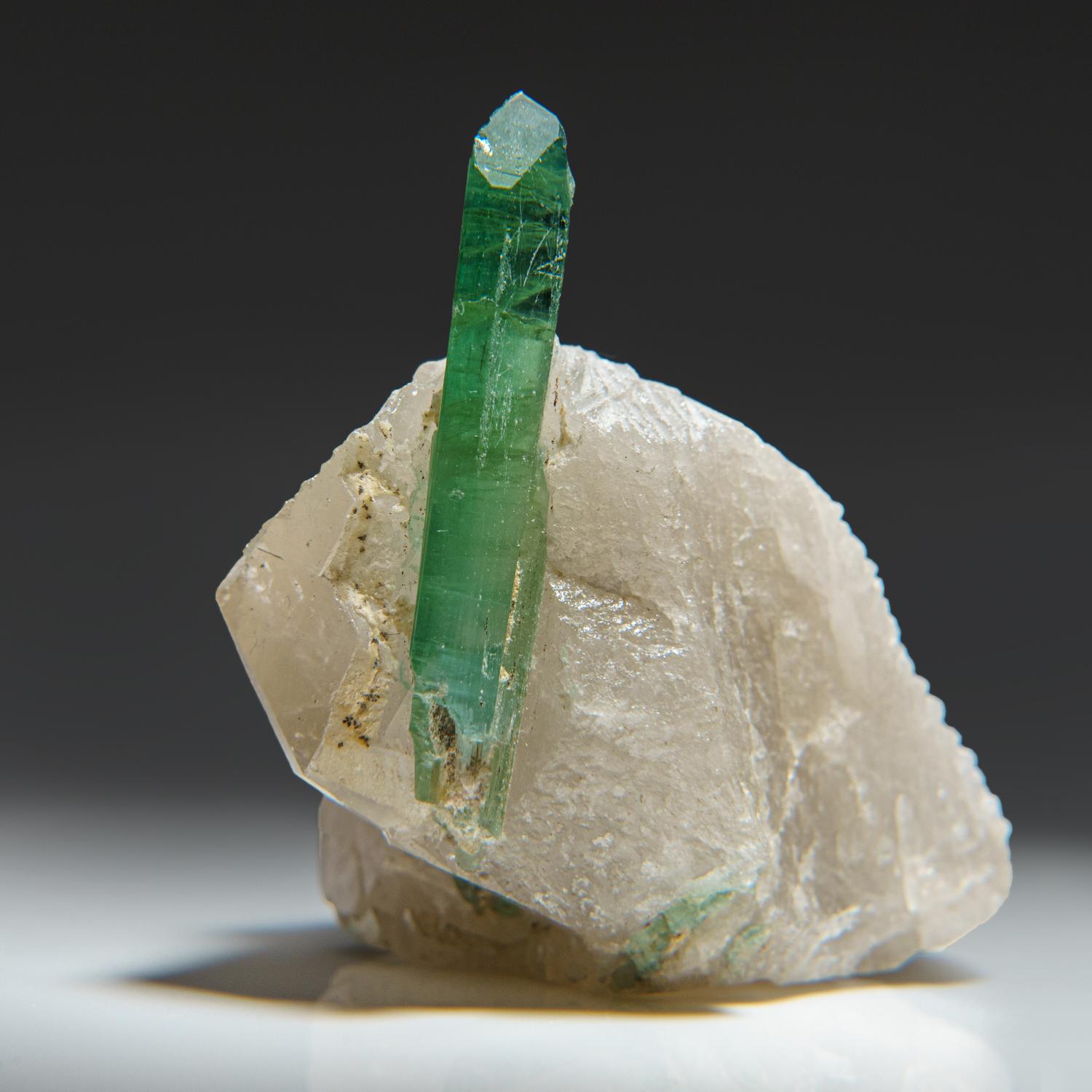 Green Tourmaline in Quartz from Gilgit District, Gilgit-Baltistan, Pakistan In New Condition For Sale In New York, NY