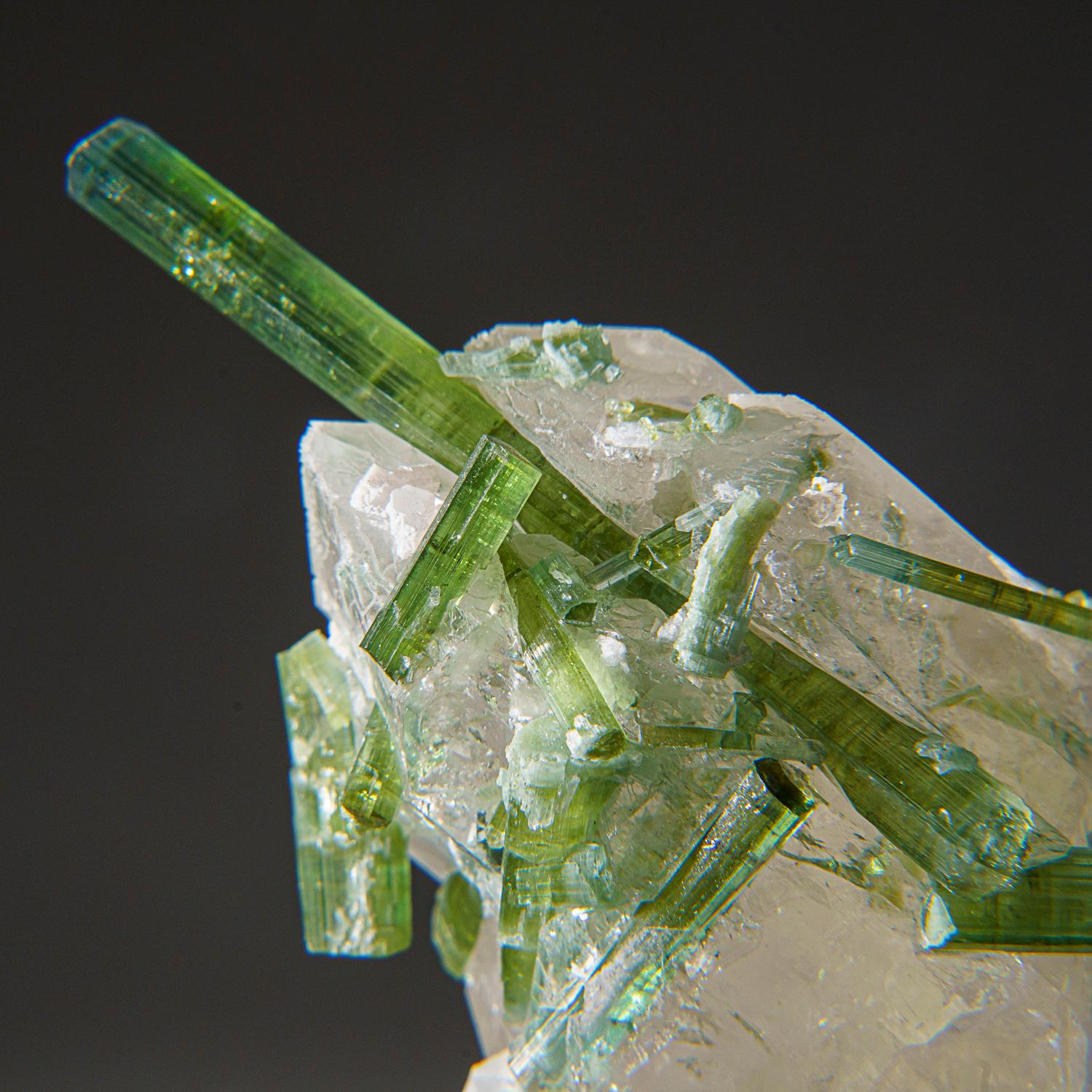 From Gilgit District, Gilgit-Baltistan, Pakistan 

Lustrous transparent green terminated elbaite tourmaline crystals in gray quartz with a few tabular milky quartz crystals. This unique specimen is highly prized for its rarity and beauty, and makes