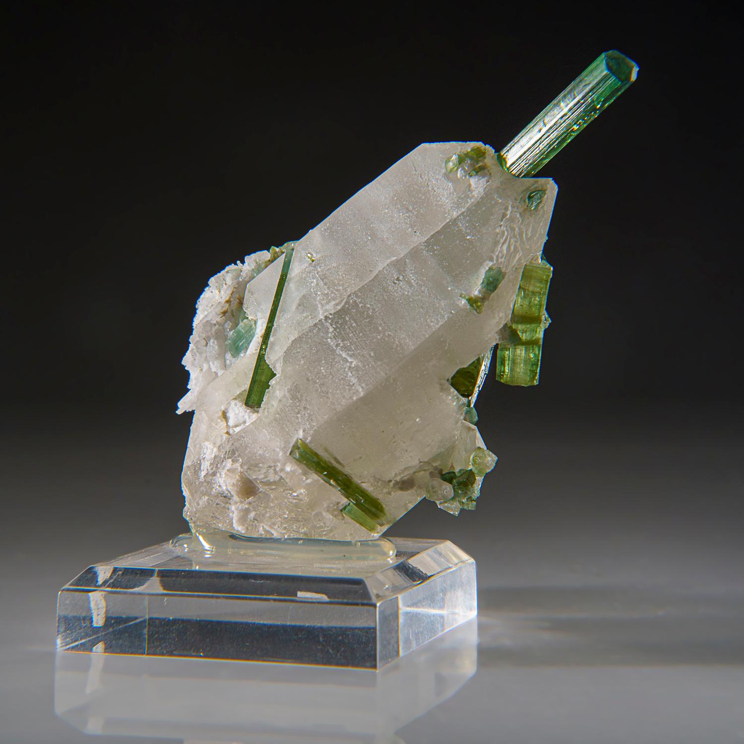 Green Tourmaline on Quartz from Gilgit District, Gilgit-Baltistan, Pakistan In New Condition For Sale In New York, NY