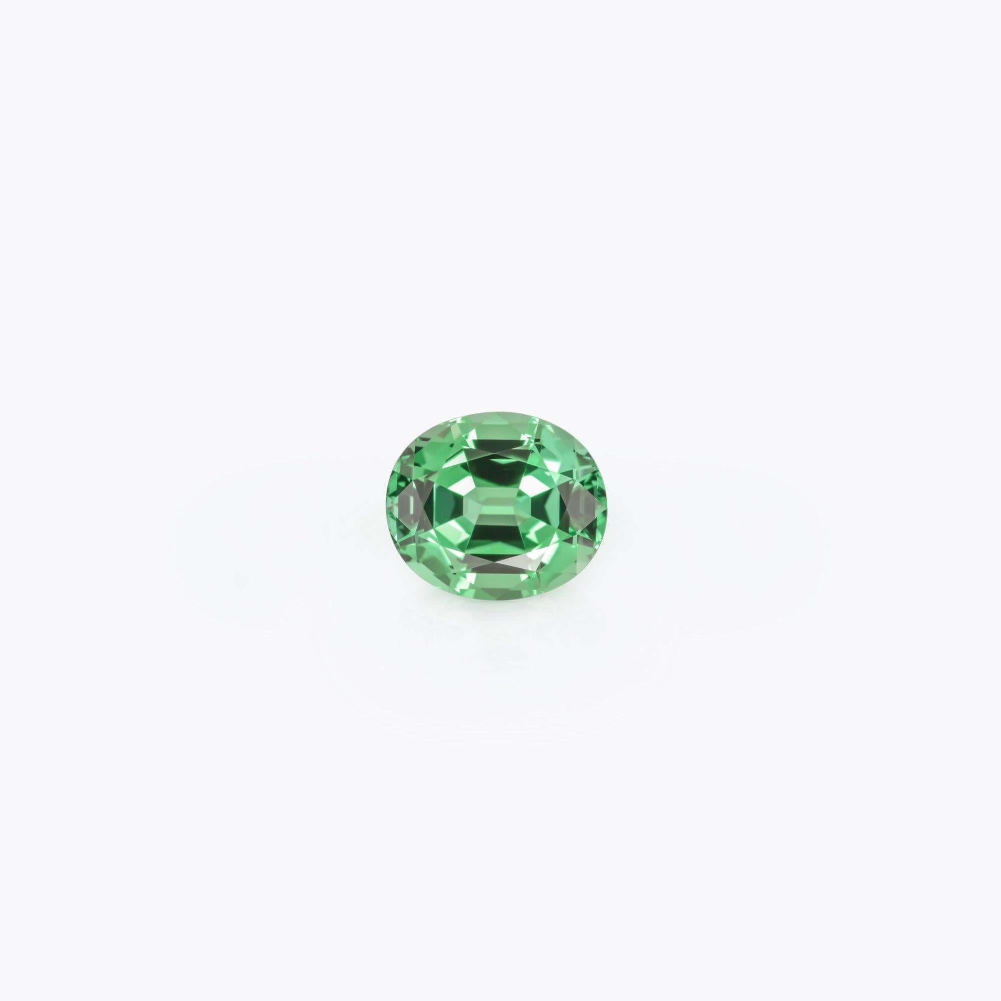 Exceptional 13.67 carat vibrant Green Tourmaline oval gem, offered loose to a fine gem connoisseur.
Returns are accepted and paid by us within 7 days of delivery.
We offer supreme custom jewelry work upon request. Please contact us for more