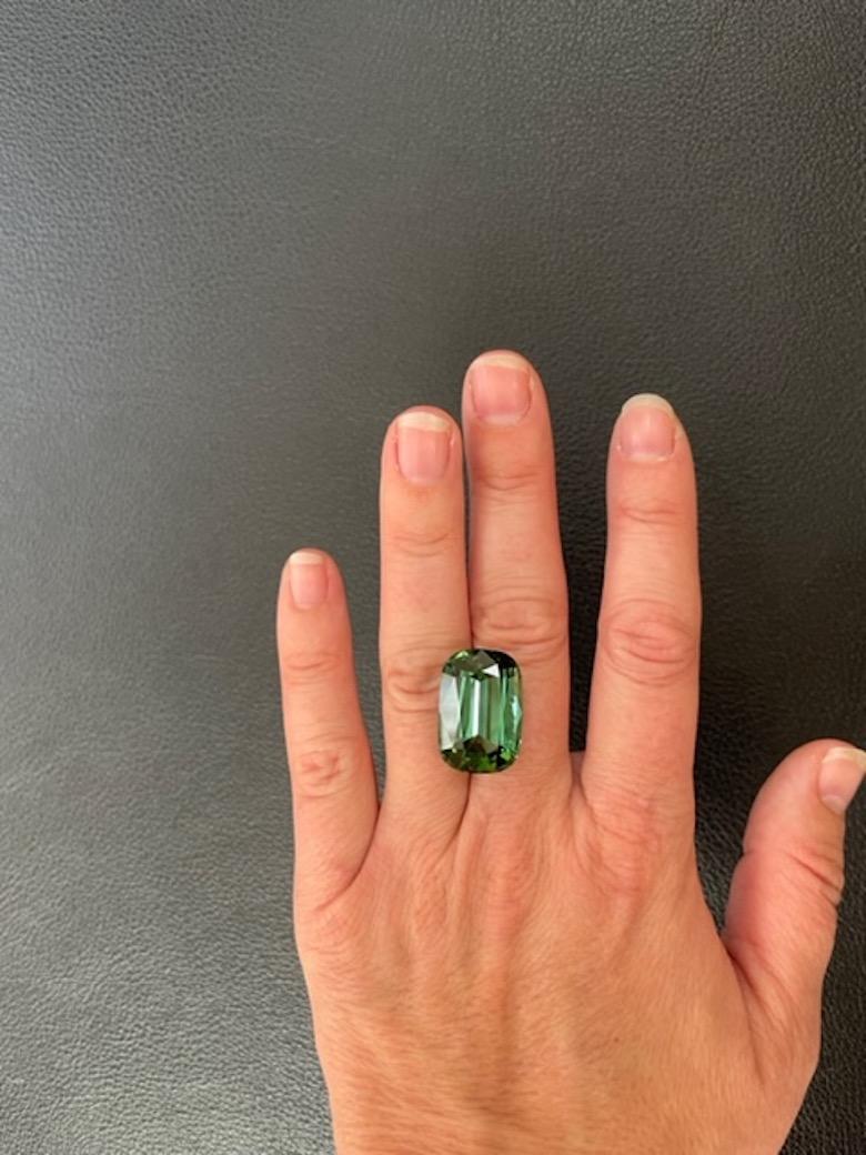 Incredible 25.83 carat Green Tourmaline cushion gem, offered unmounted to a sophisticated gem collector.
Dimensions: 21.50mm x 14.60mm x 10.50mm.
Returns are accepted and paid by us within 7 days of delivery.
We offer supreme custom jewelry work