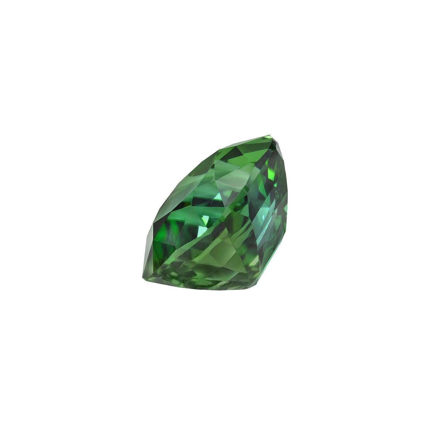 6.51 carat Green Tourmaline cushion gem, offered loose to a gemstone lover.
Returns are accepted and paid by us within 7 days of delivery.
We offer supreme custom jewelry work upon request. Please contact us for more details.
For your convenience we